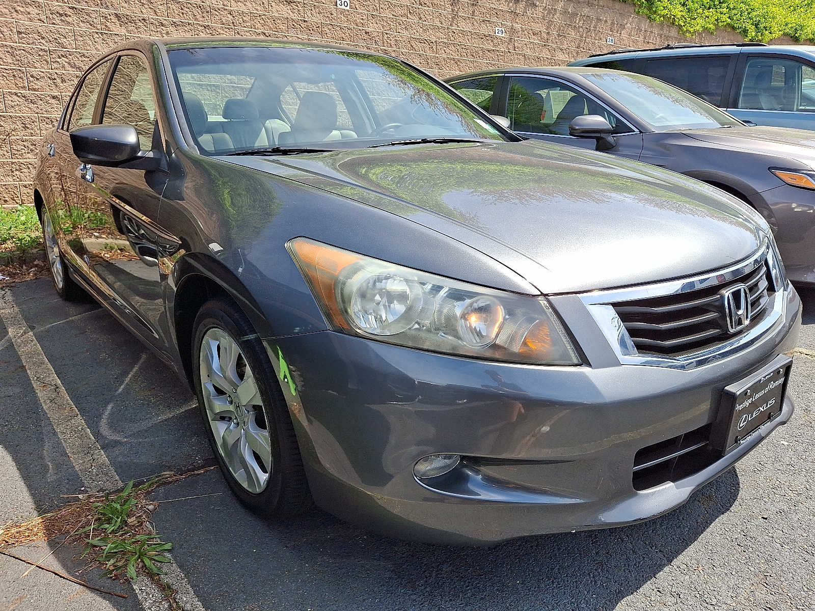 2008 Honda Accord EX-L 3