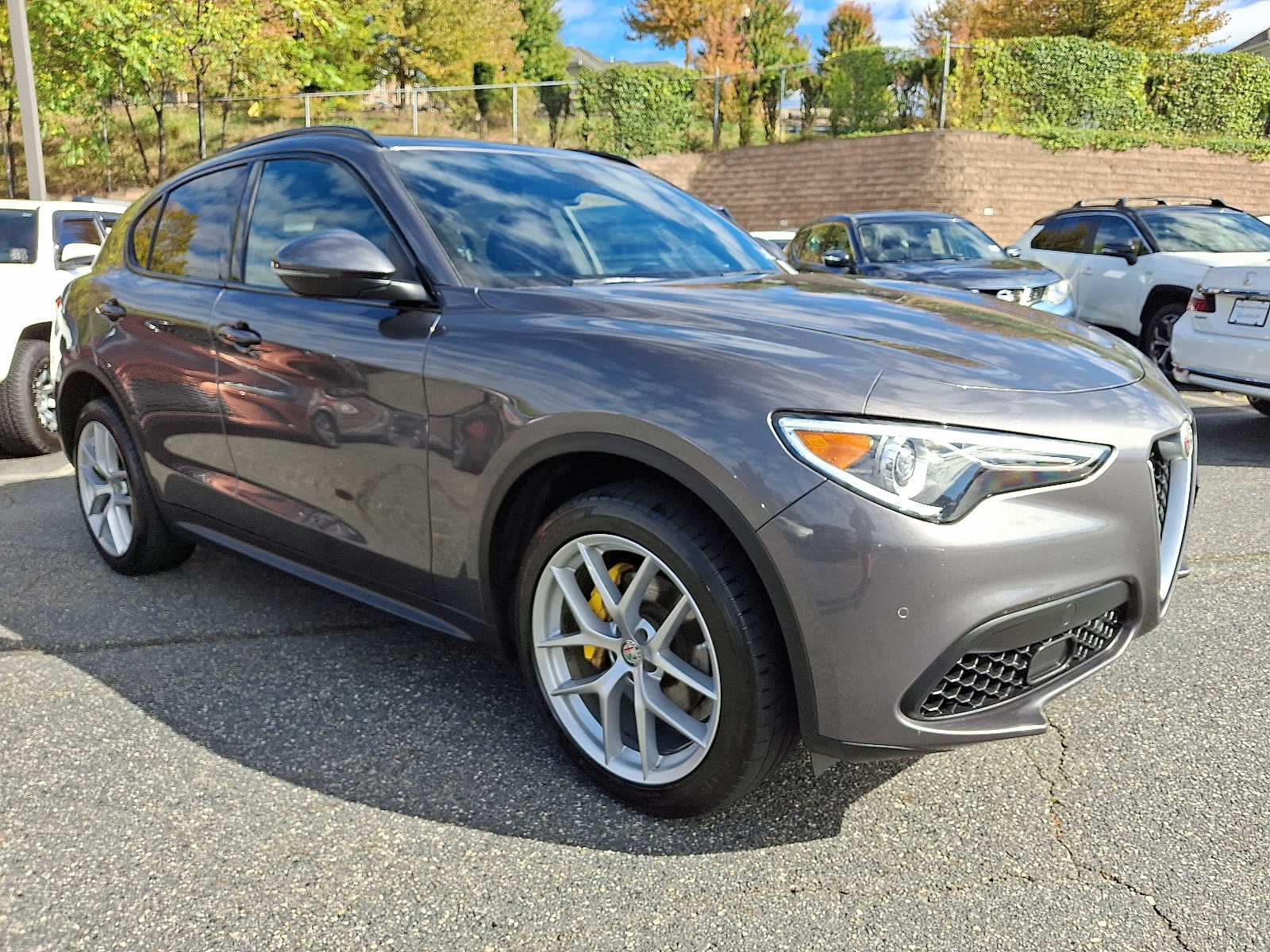 Thumbnail: 2019 Alfa Romeo Stelvio - 3