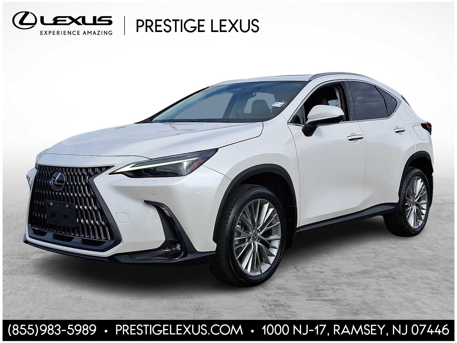 Thumbnail: 2023 Lexus NX - 1