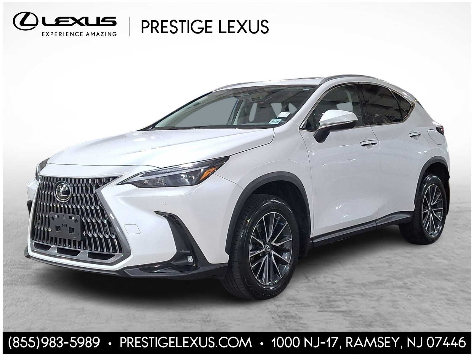 2025 Lexus NX