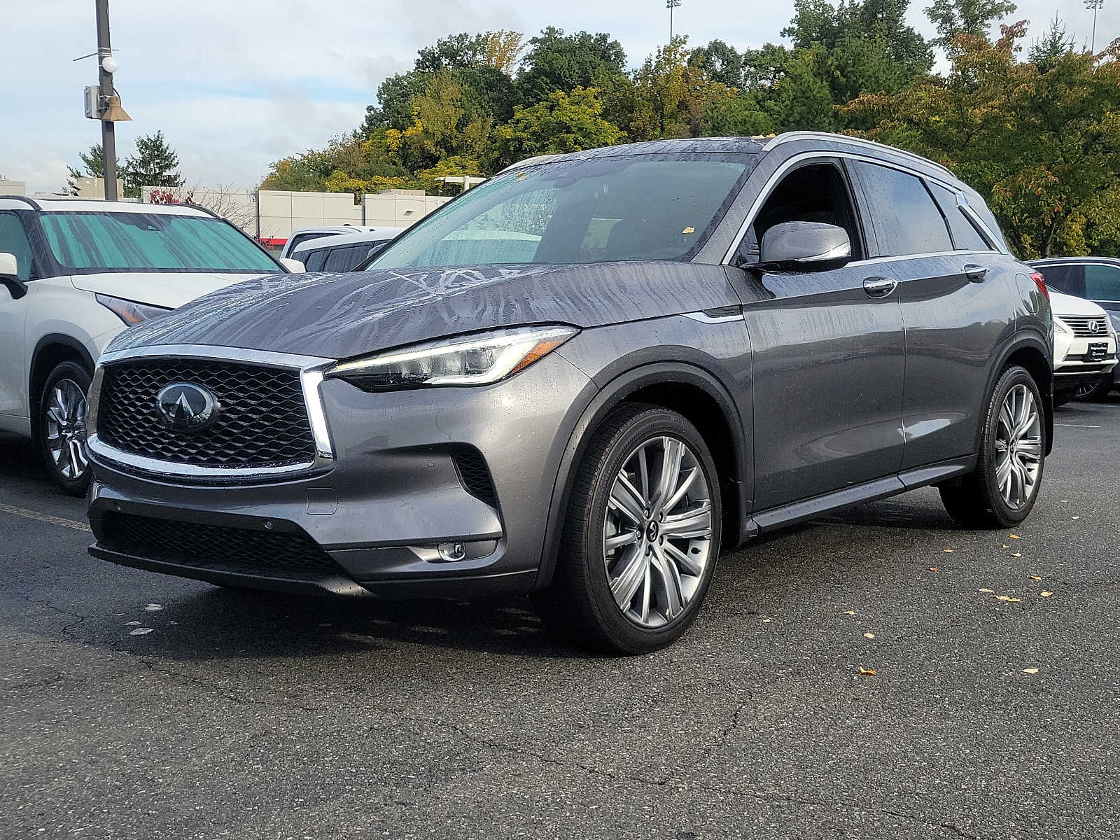 2021 INFINITI QX50 Sensory -
                Ramsey, NJ