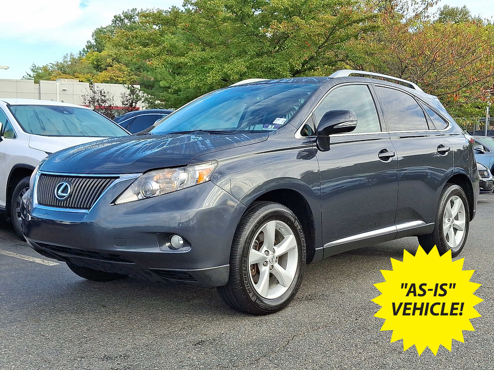 Thumbnail: 2010 Lexus RX - 1