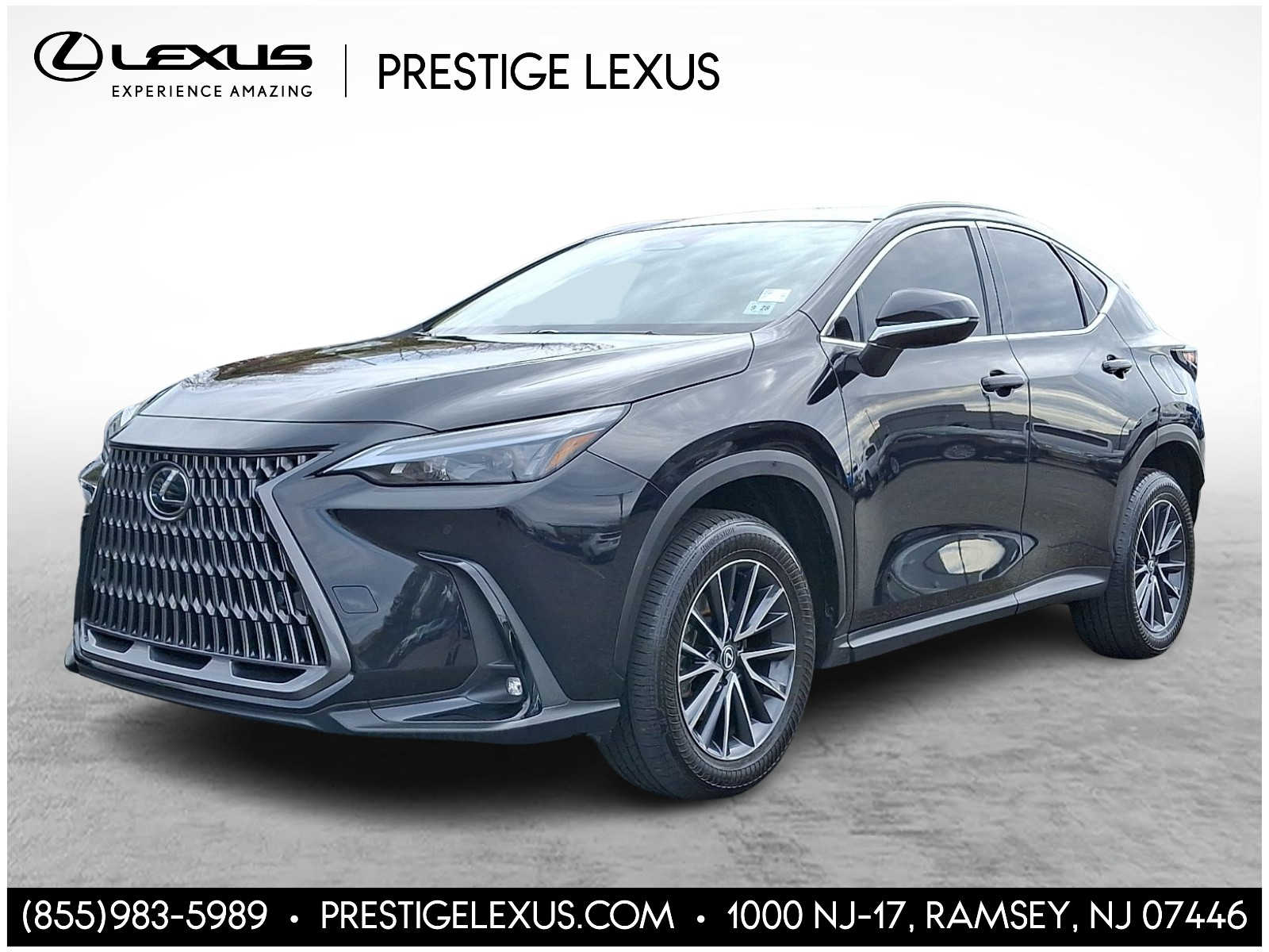 Thumbnail: 2024 Lexus NX - 1