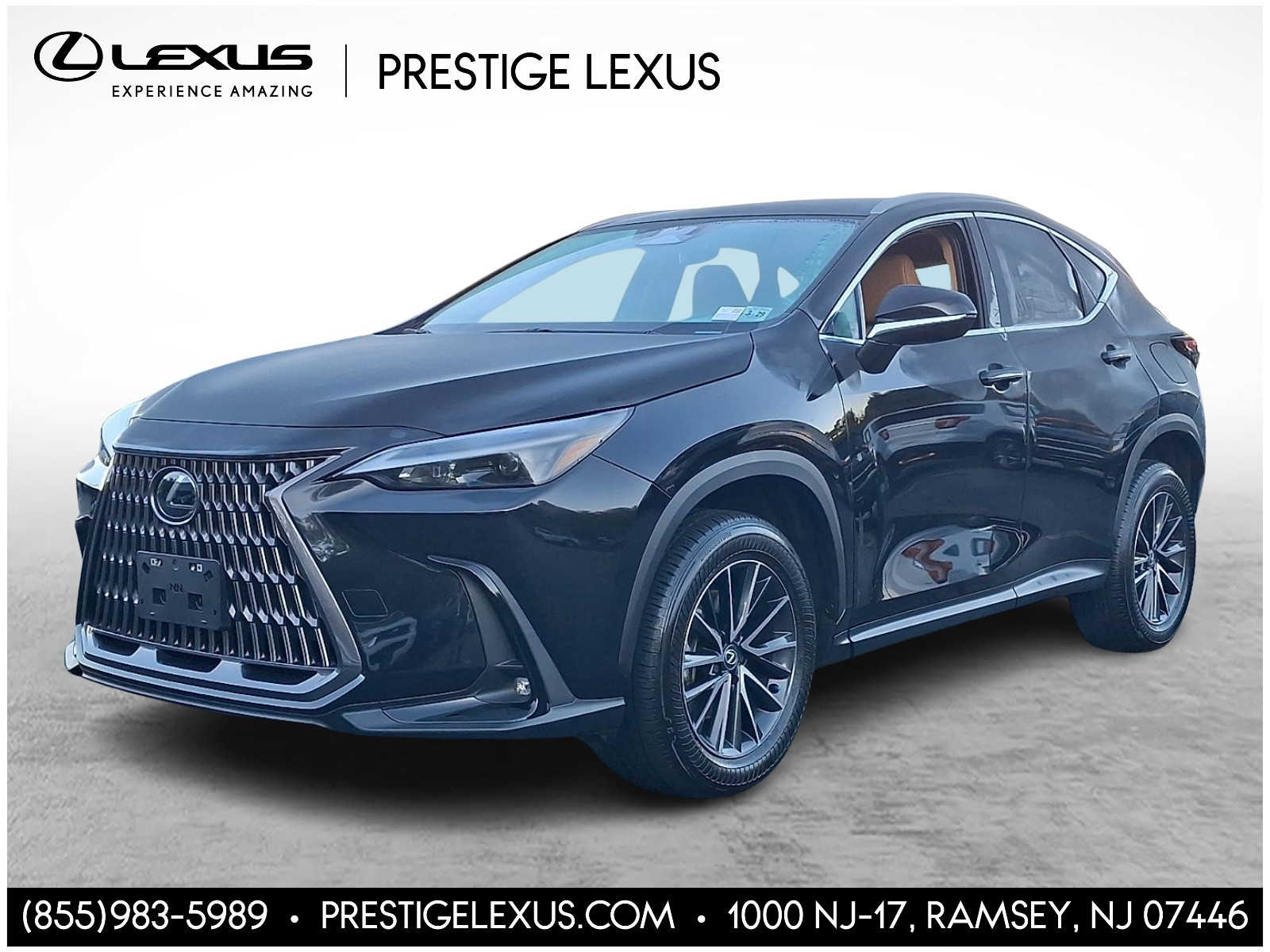 2024 Lexus NX