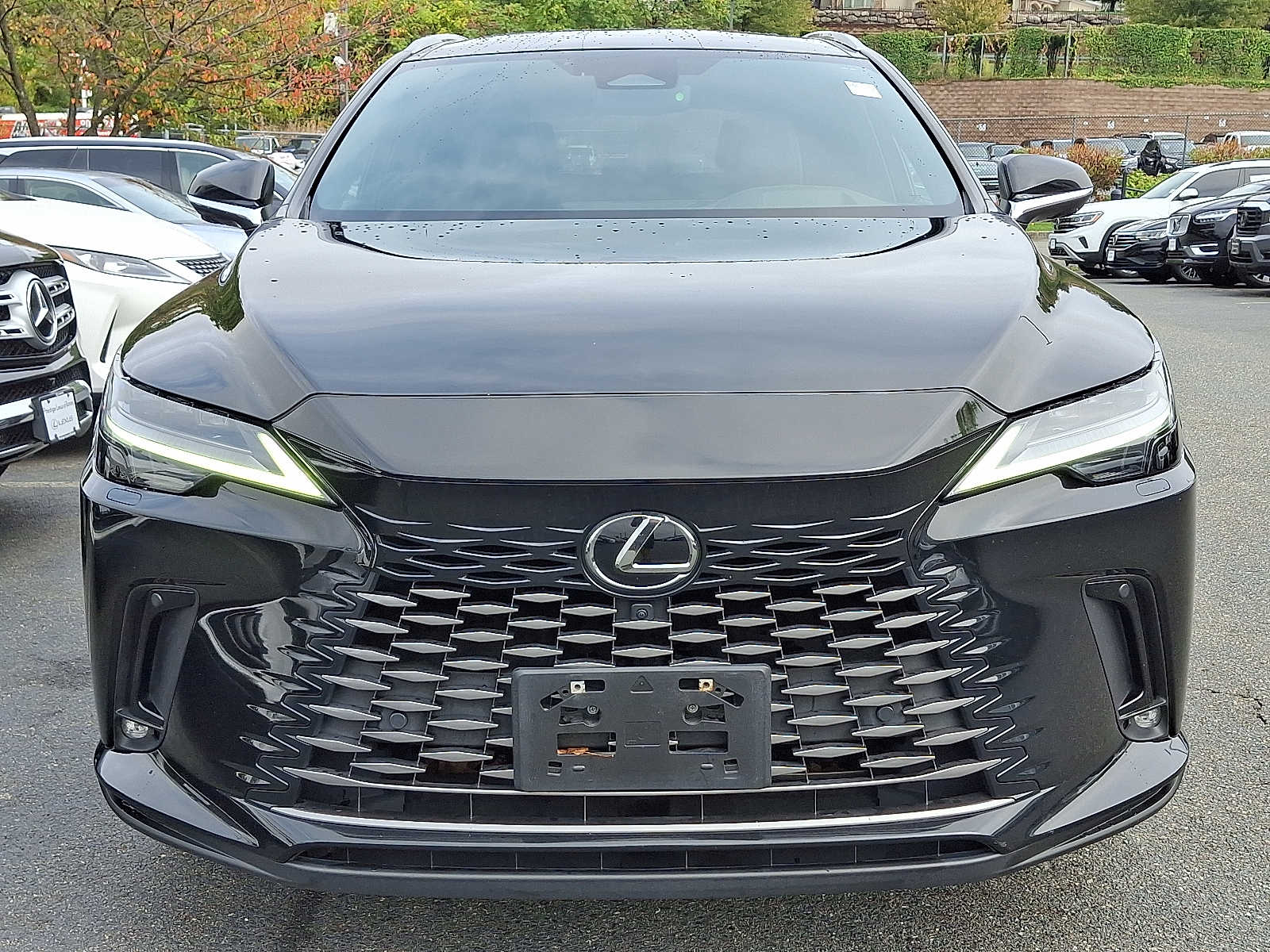 Thumbnail: 2023 Lexus RX - 2