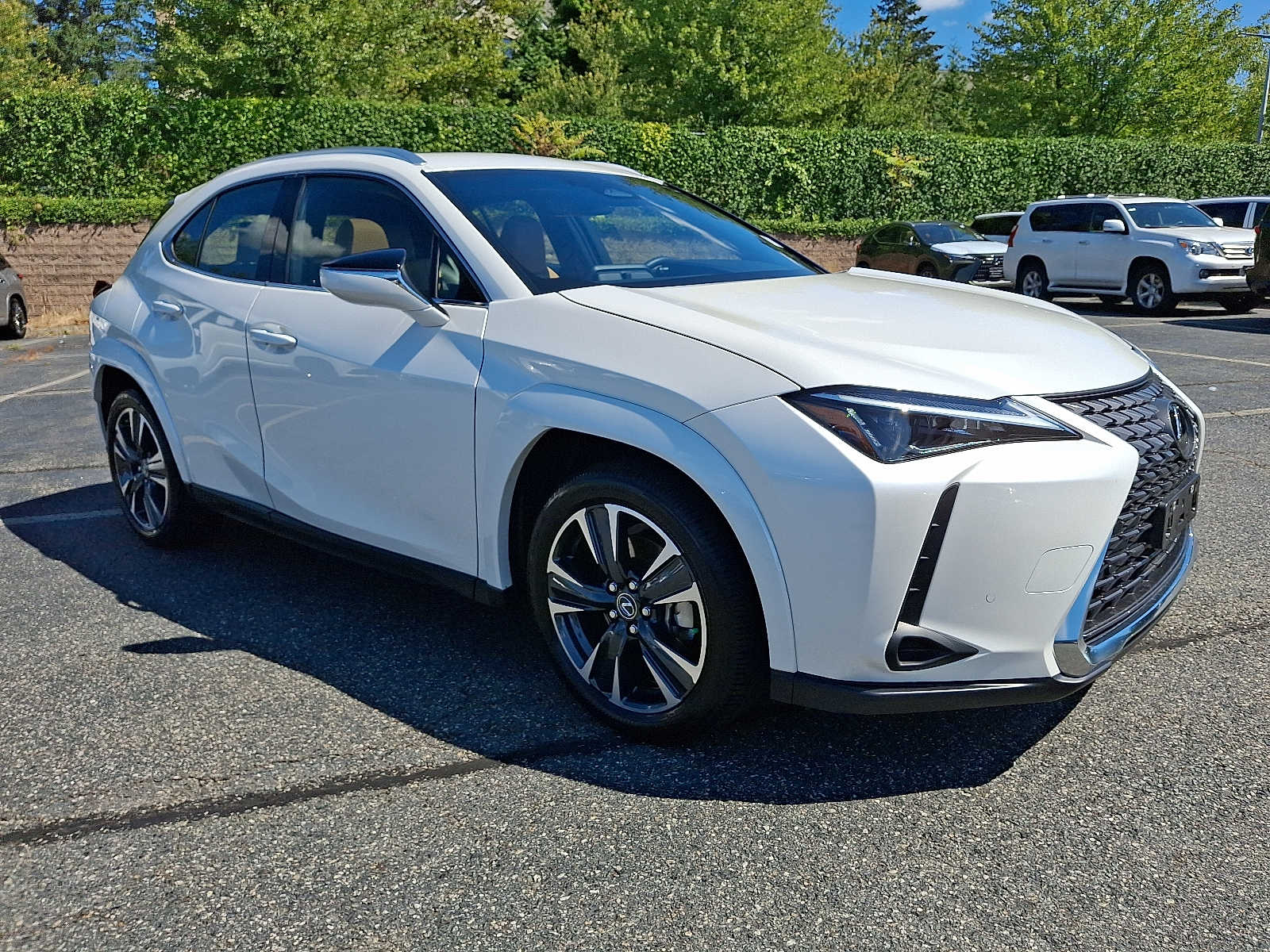 Thumbnail: 2025 Lexus UX - 3