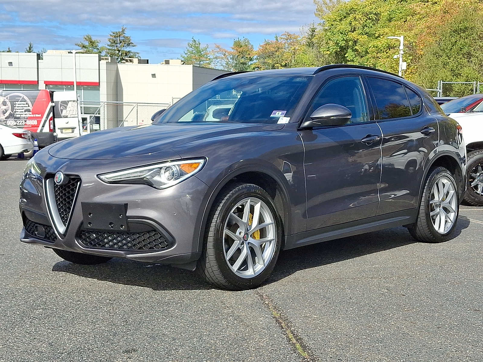 Thumbnail: 2019 Alfa Romeo Stelvio - 1