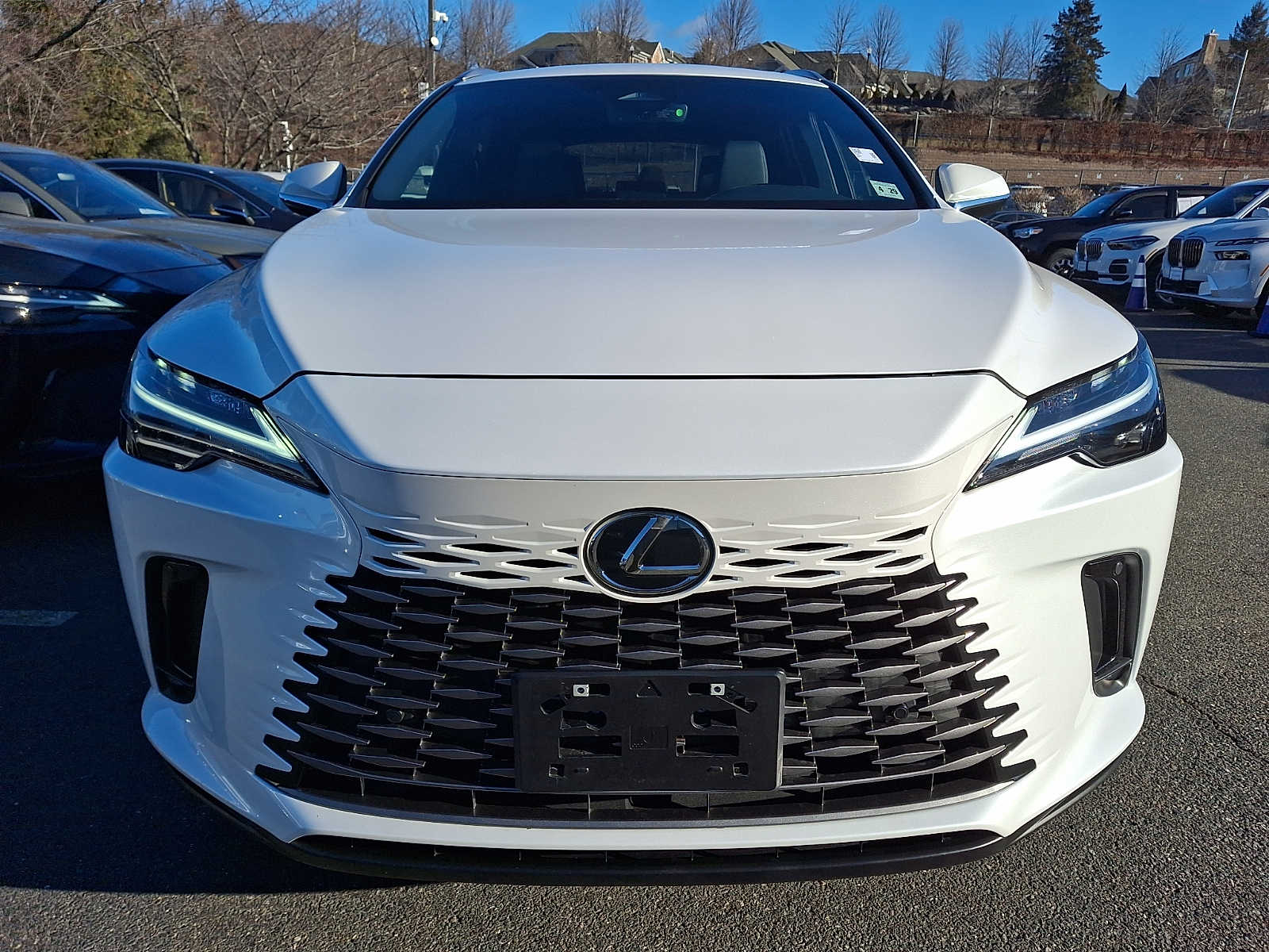 Thumbnail: 2025 Lexus RX - 2