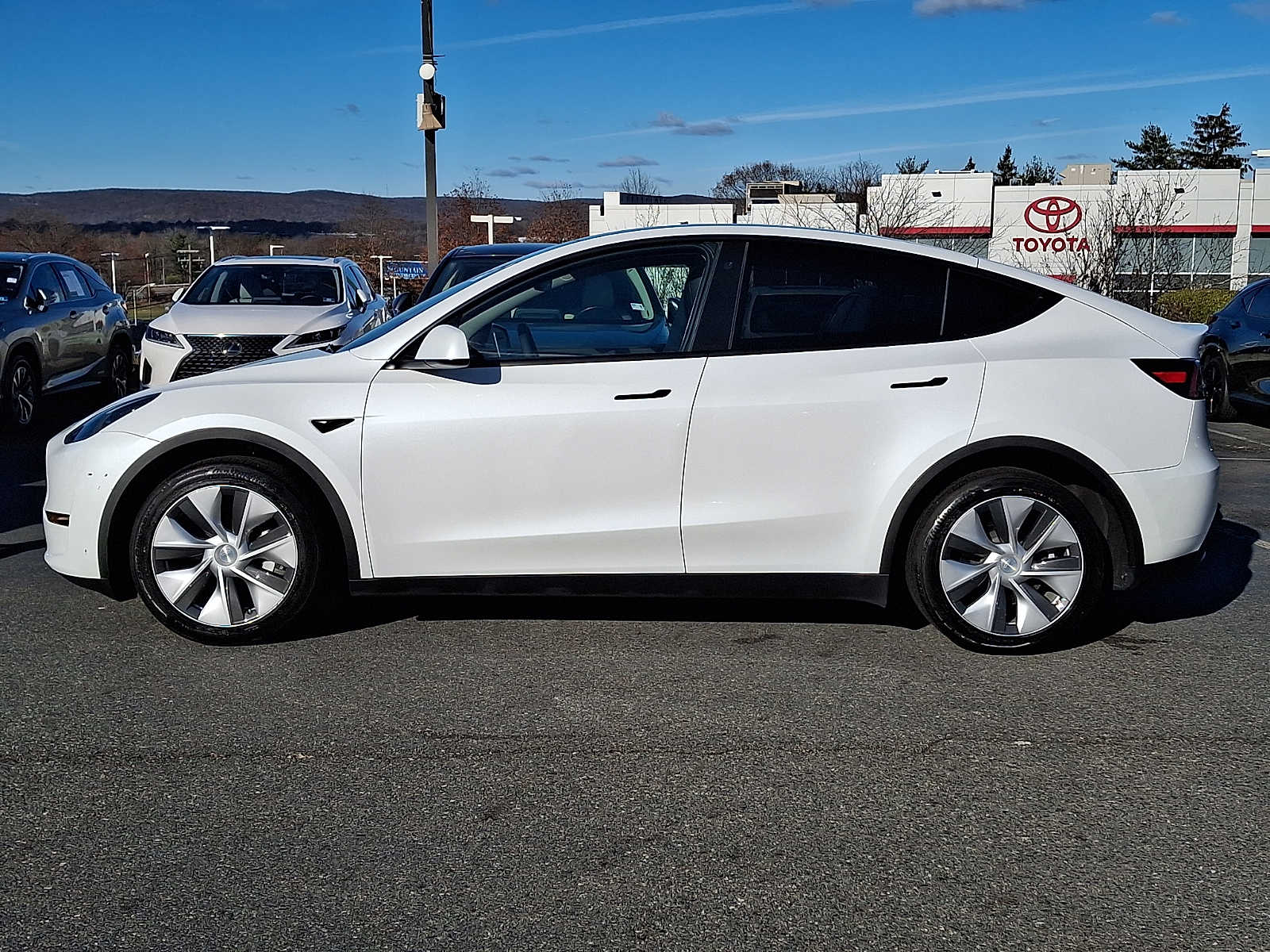 Thumbnail: 2023 Tesla Model Y - 5