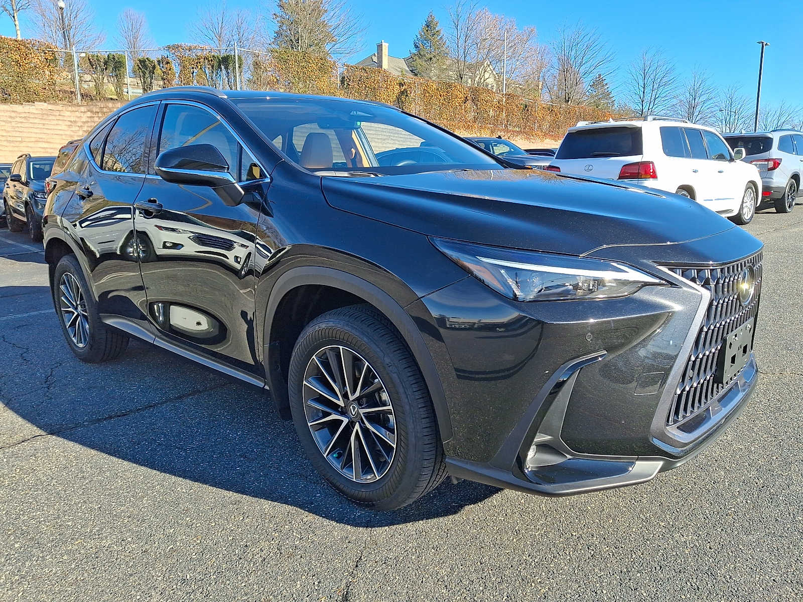 Thumbnail: 2025 Lexus NX - 3