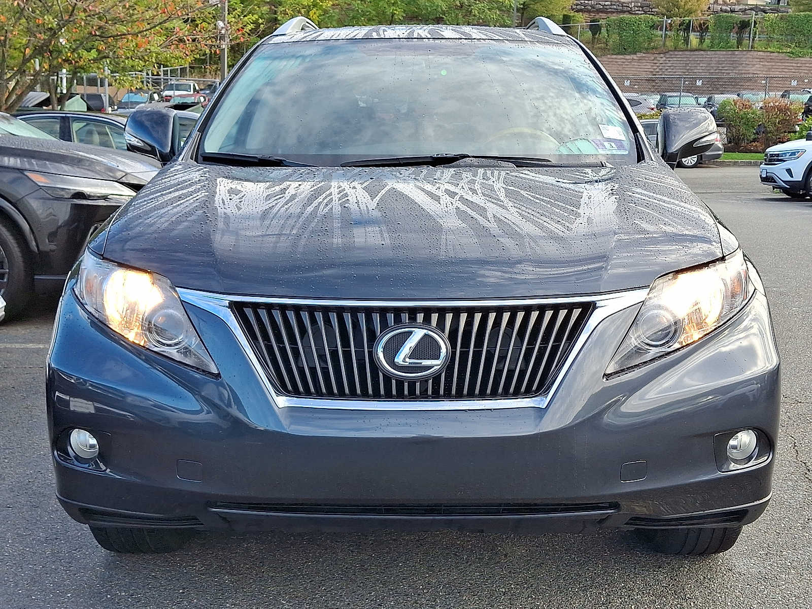 Thumbnail: 2010 Lexus RX - 2