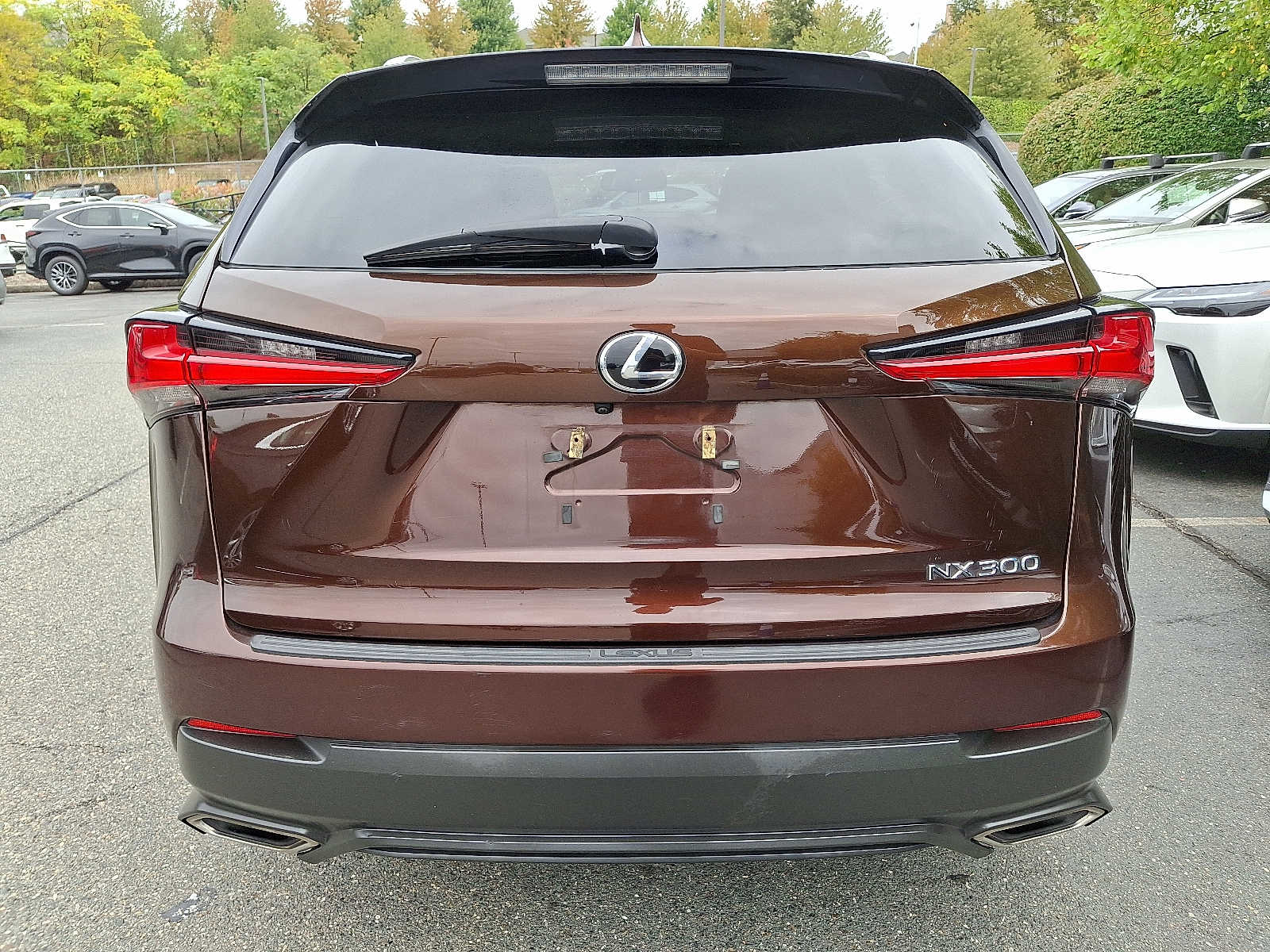 Thumbnail: 2019 Lexus NX - 5