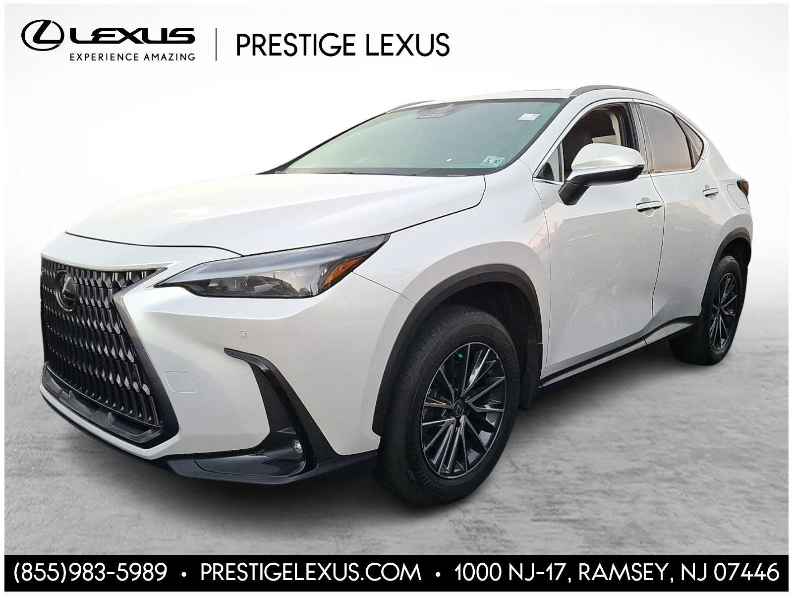 2025 Lexus NX