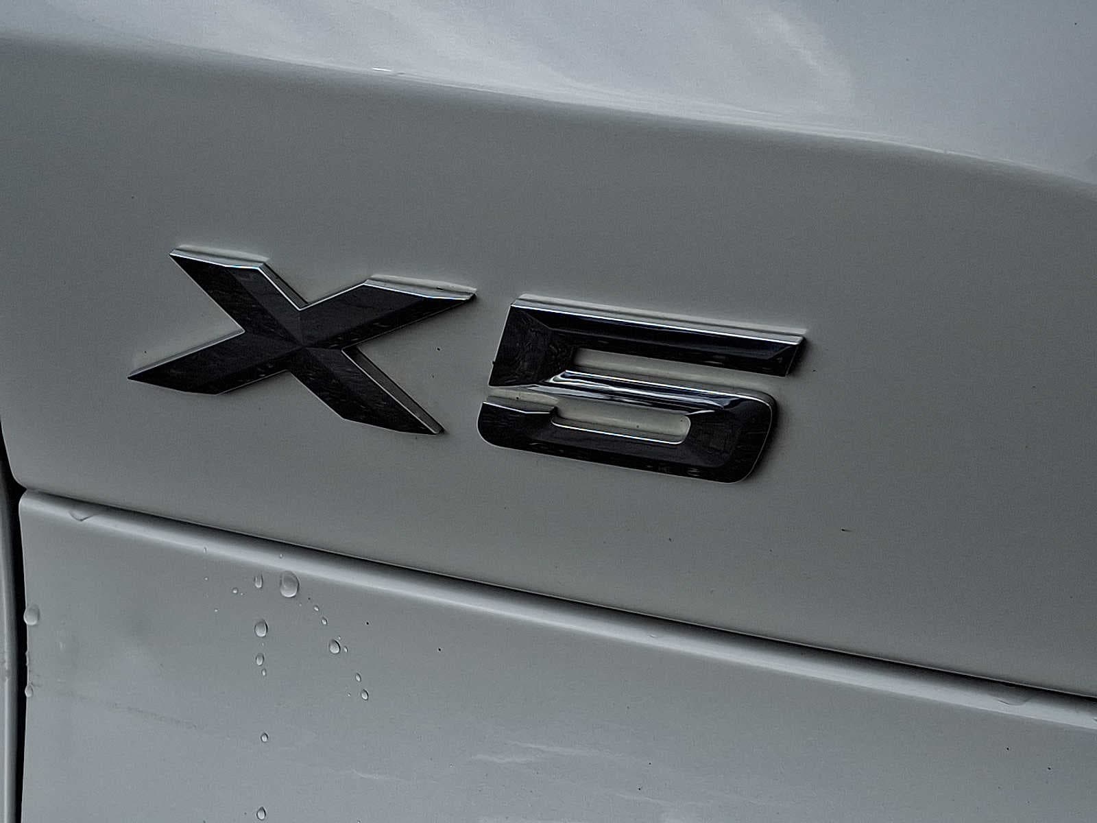 Thumbnail: 2019 BMW X5 - 30