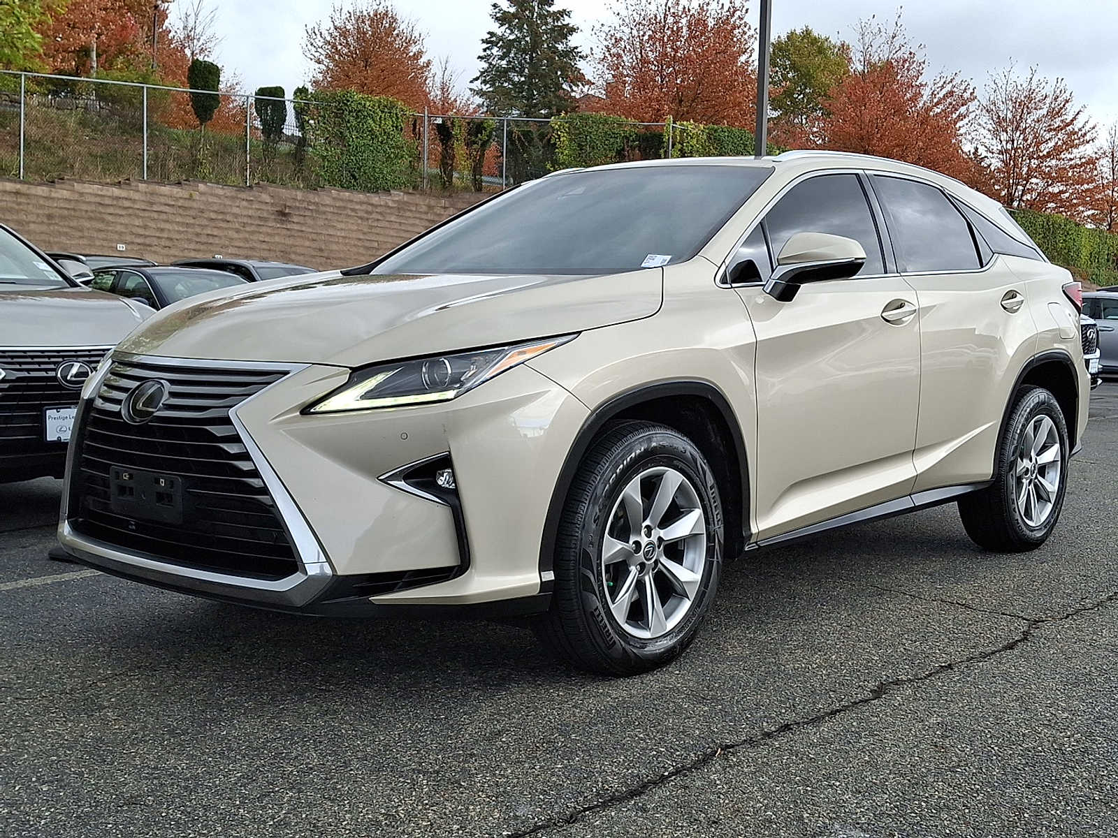 Thumbnail: 2019 Lexus RX - 1