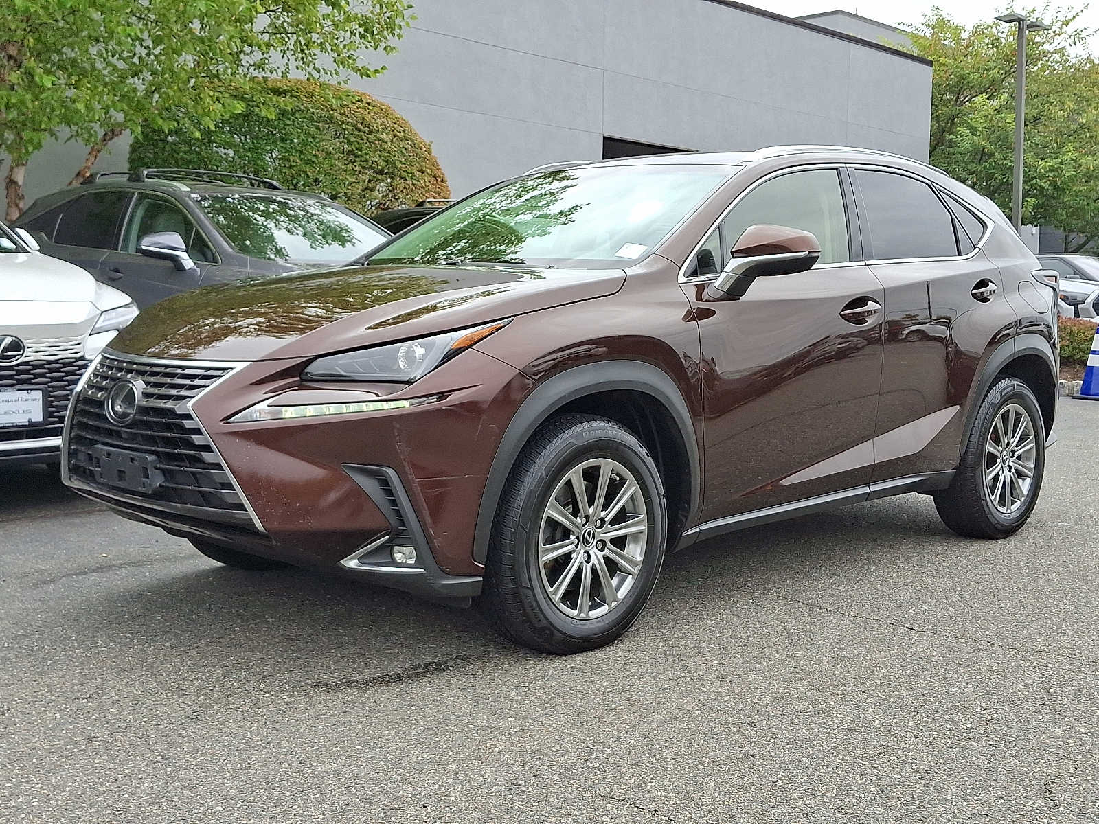2019 Lexus NX 300 -
                  Ramsey, NJ