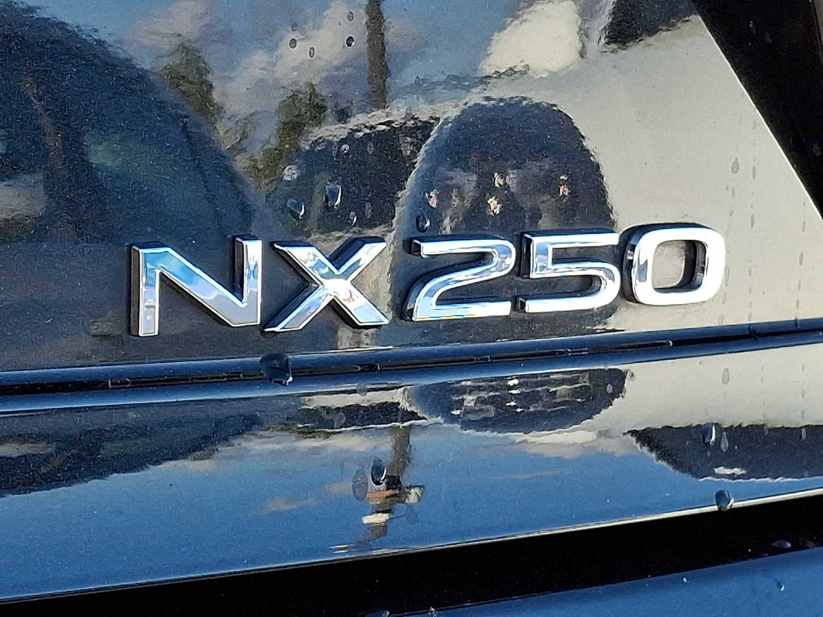 Thumbnail: 2024 Lexus NX - 28