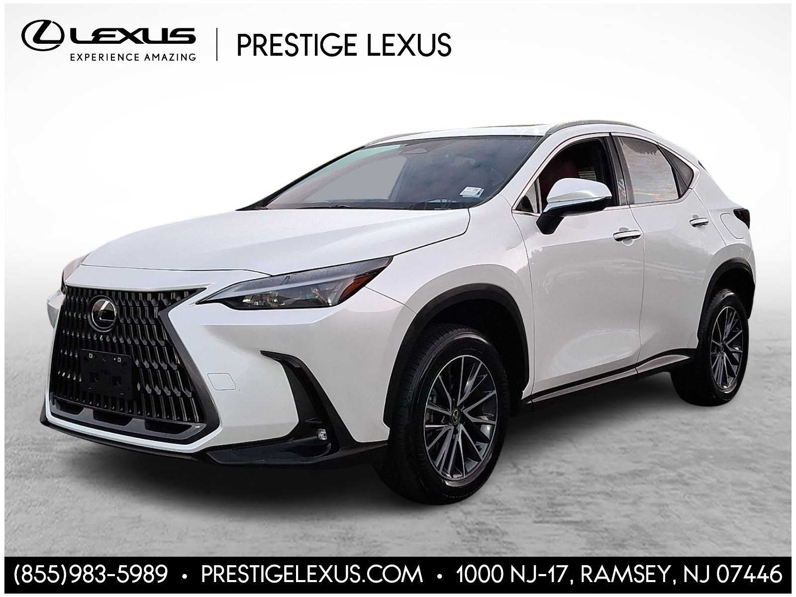 2024 Lexus NX