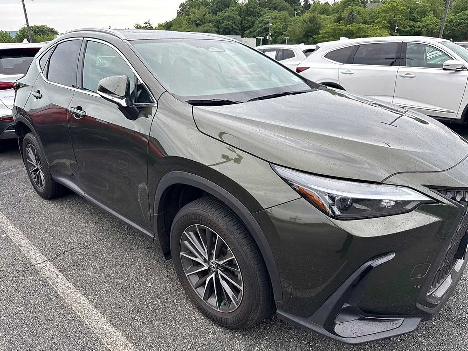 Thumbnail: 2024 Lexus NX - 2