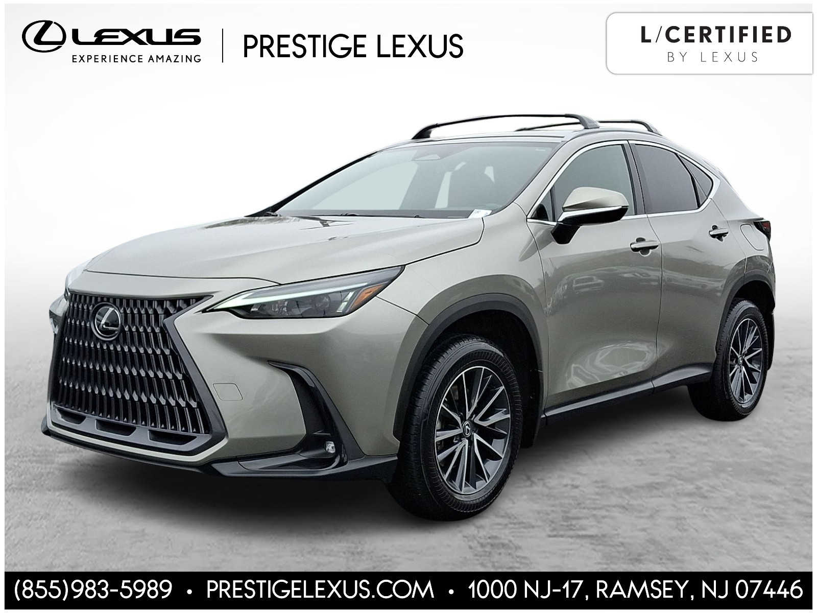 2024 Lexus NX Hybrid
