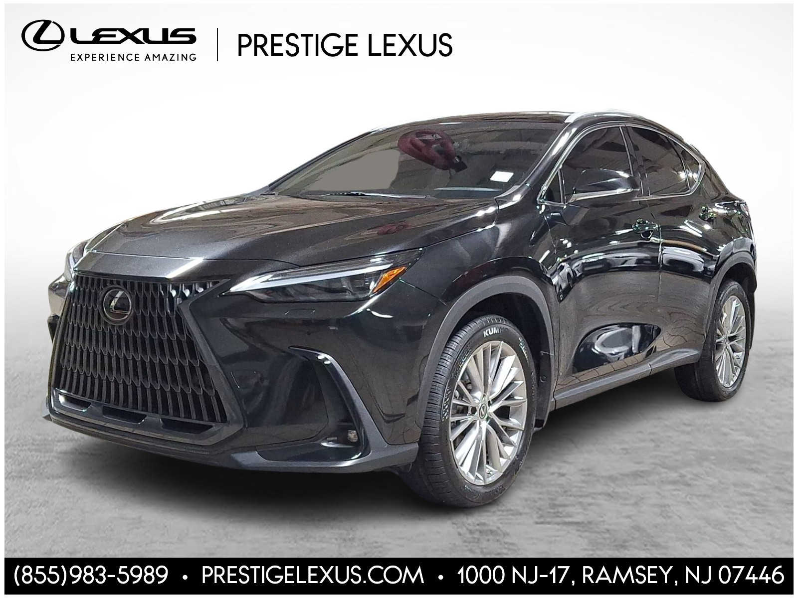 2023 Lexus NX