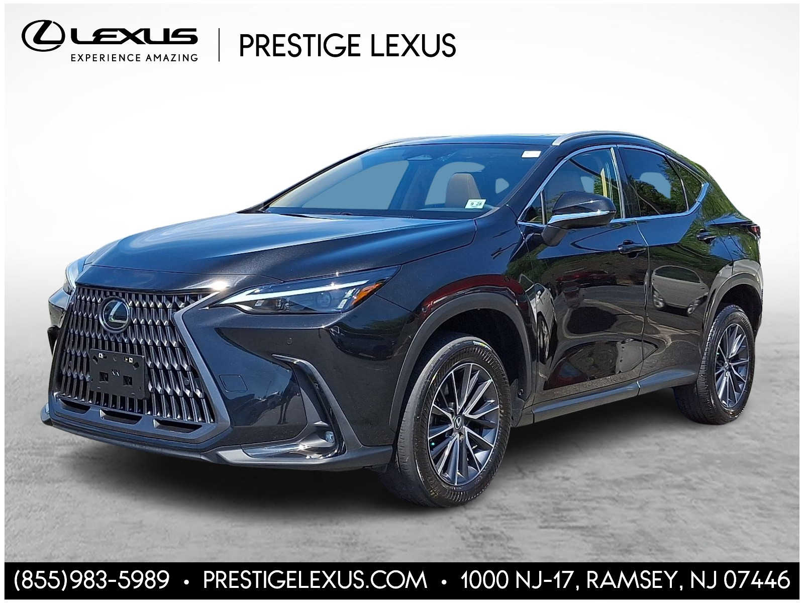 Thumbnail: 2024 Lexus NX - 1