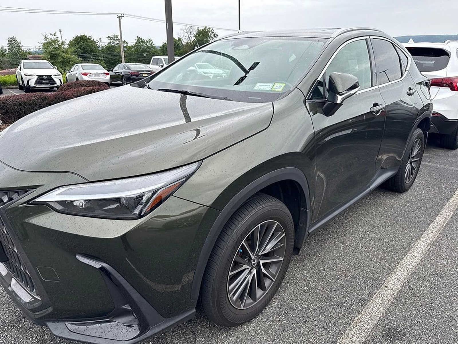 Thumbnail: 2024 Lexus NX - 3