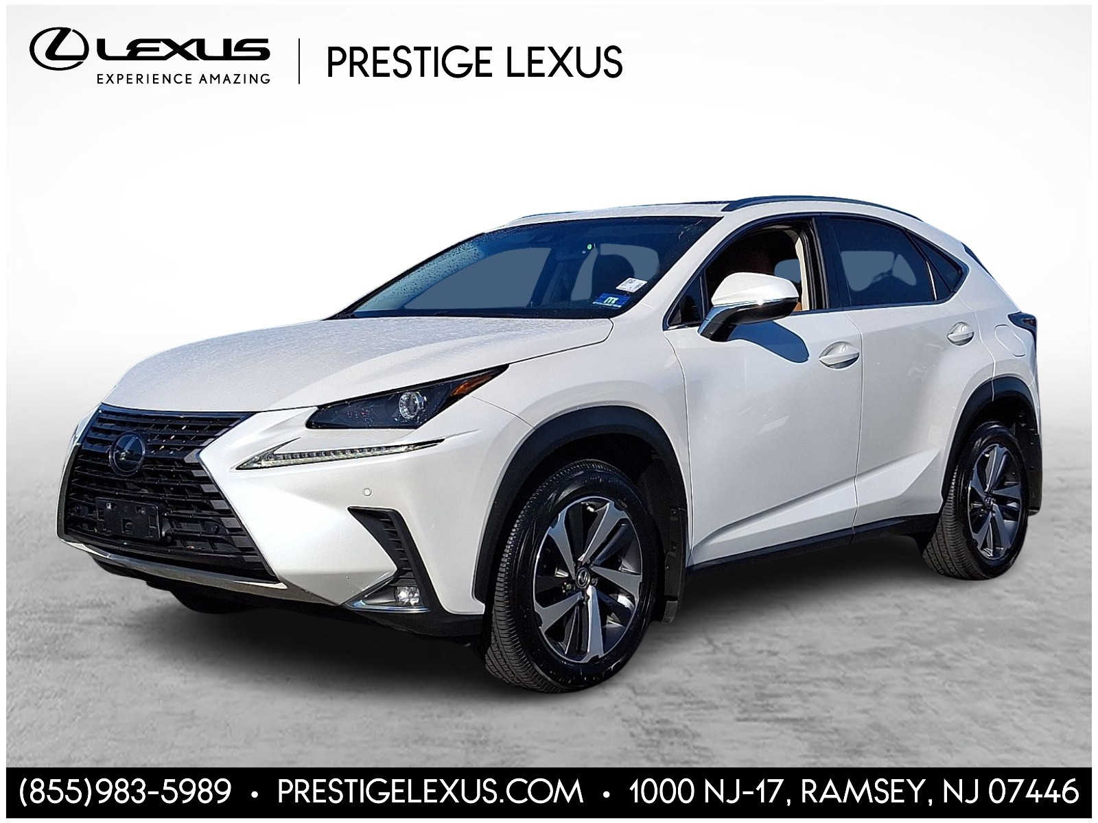 Thumbnail: 2019 Lexus NX - 1