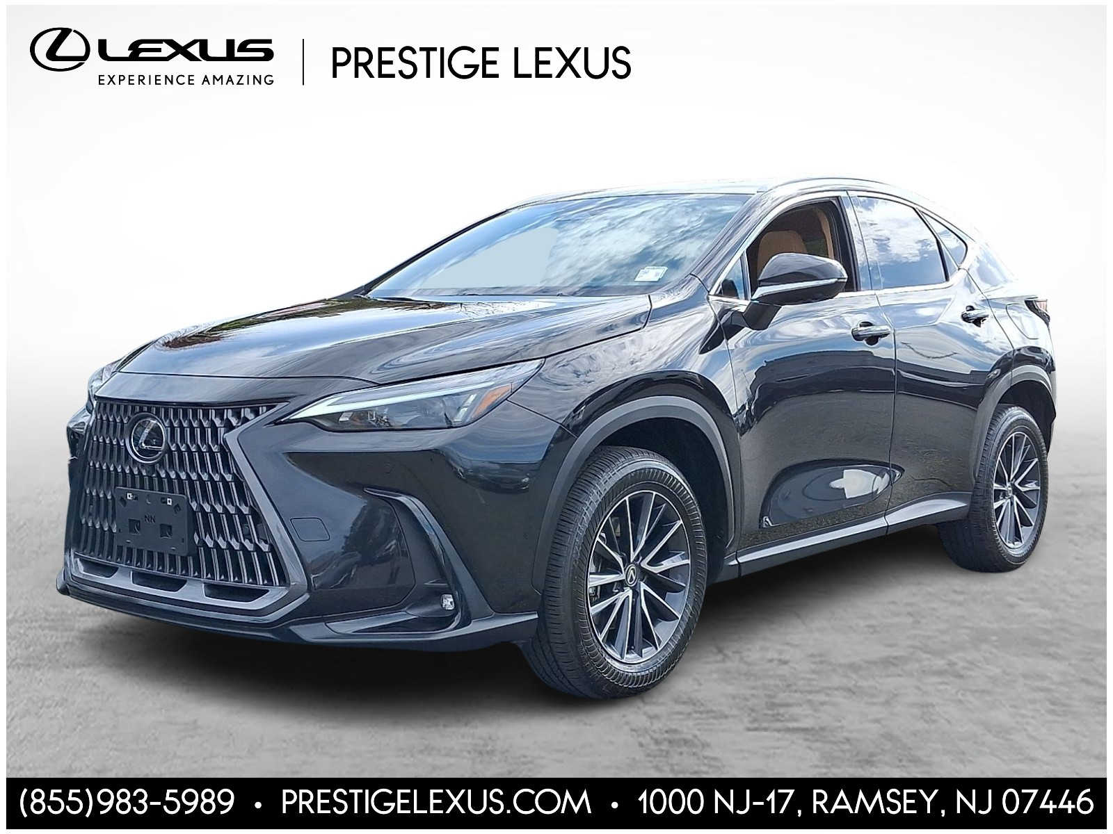 Thumbnail: 2024 Lexus NX - 1