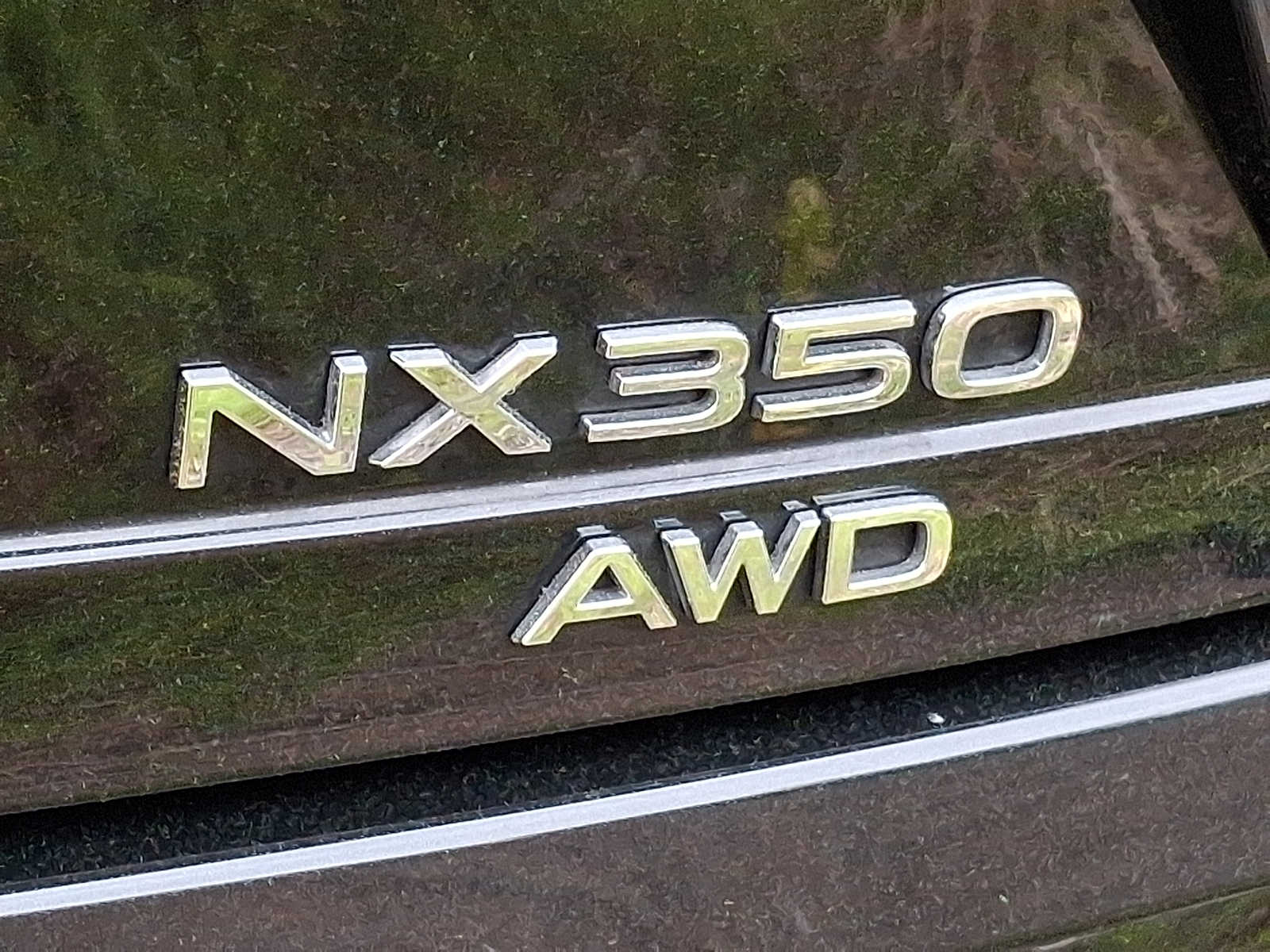 Thumbnail: 2024 Lexus NX - 28
