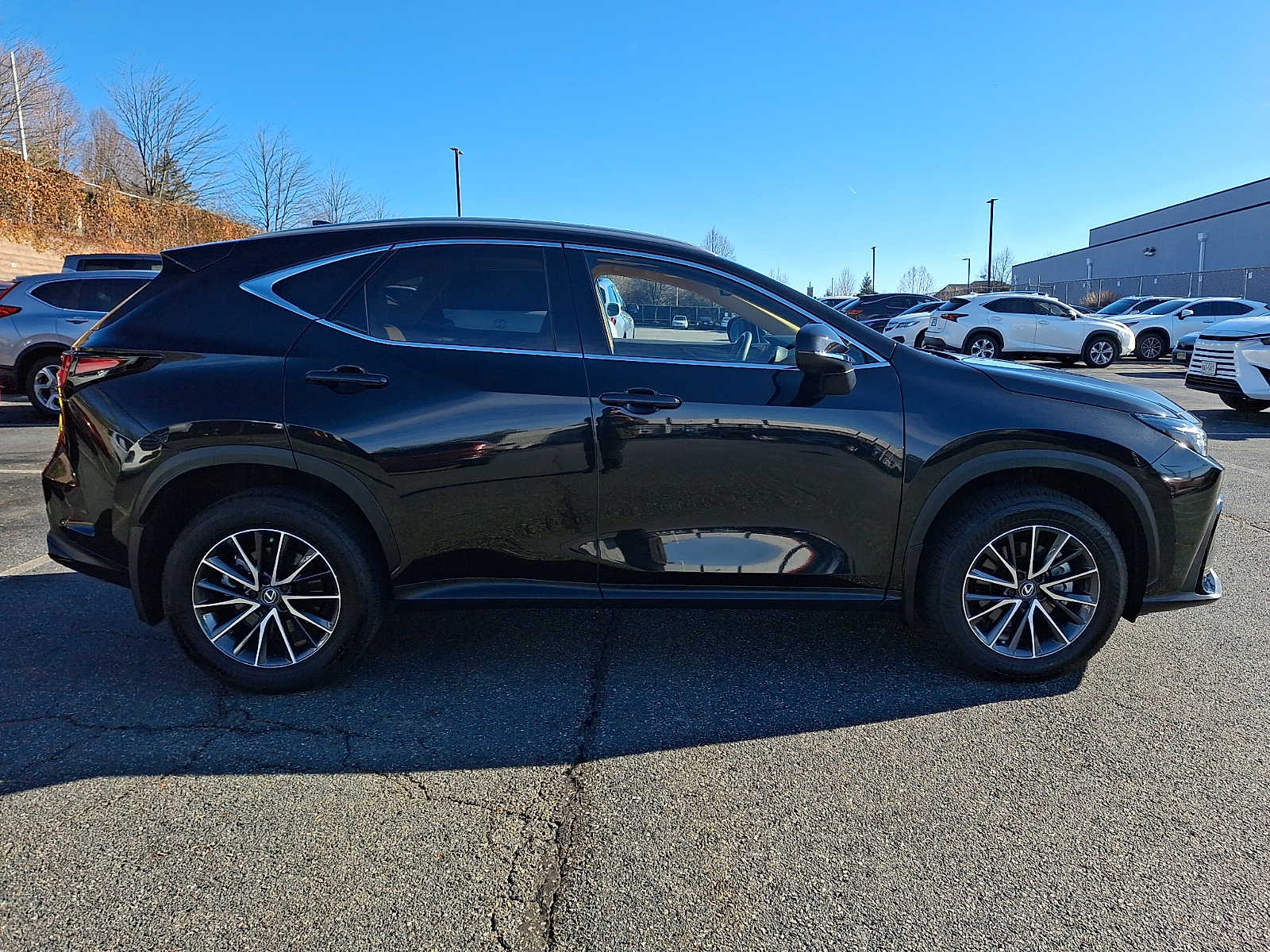 Thumbnail: 2025 Lexus NX - 4