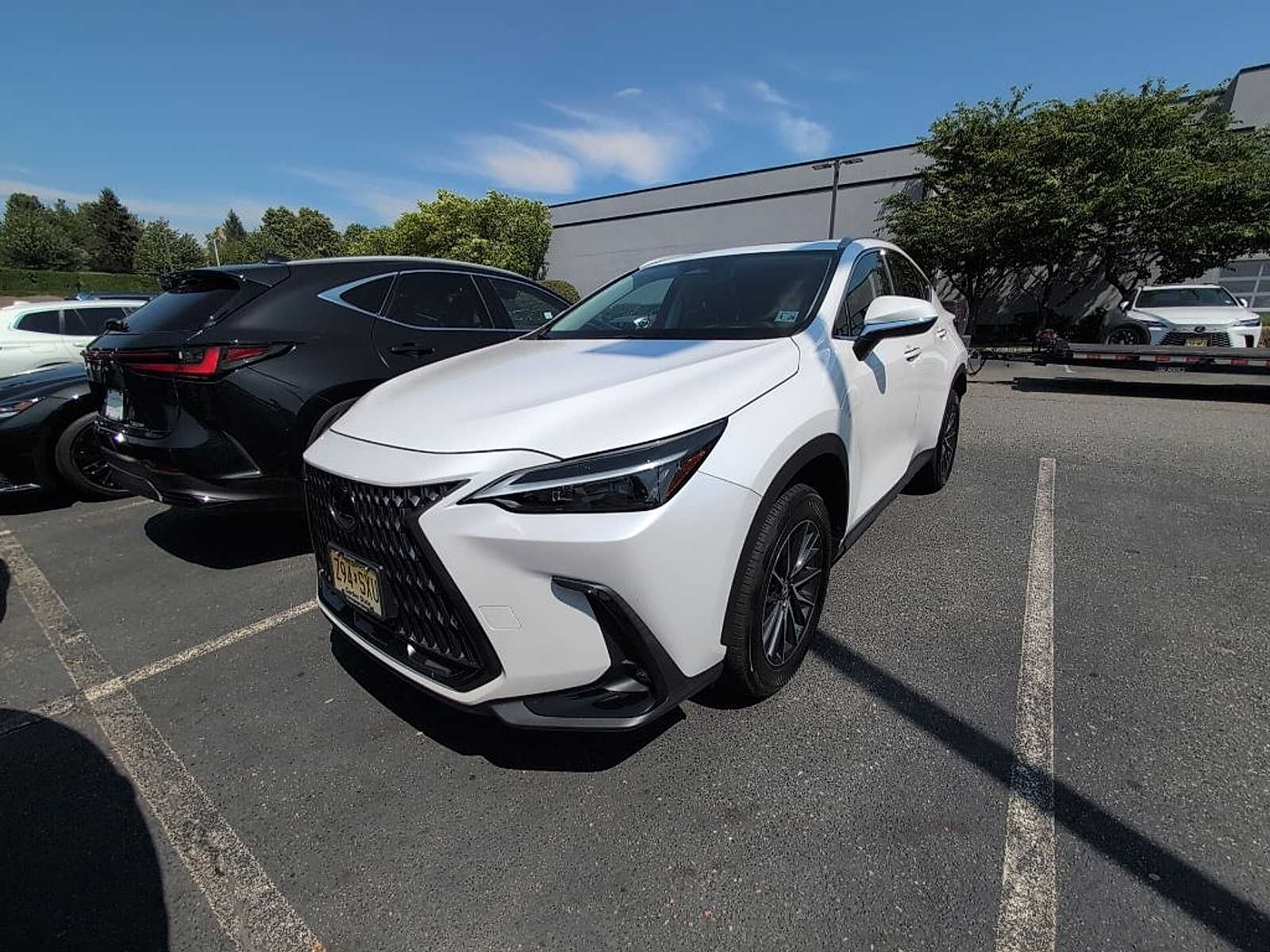 Thumbnail: 2024 Lexus NX - 1