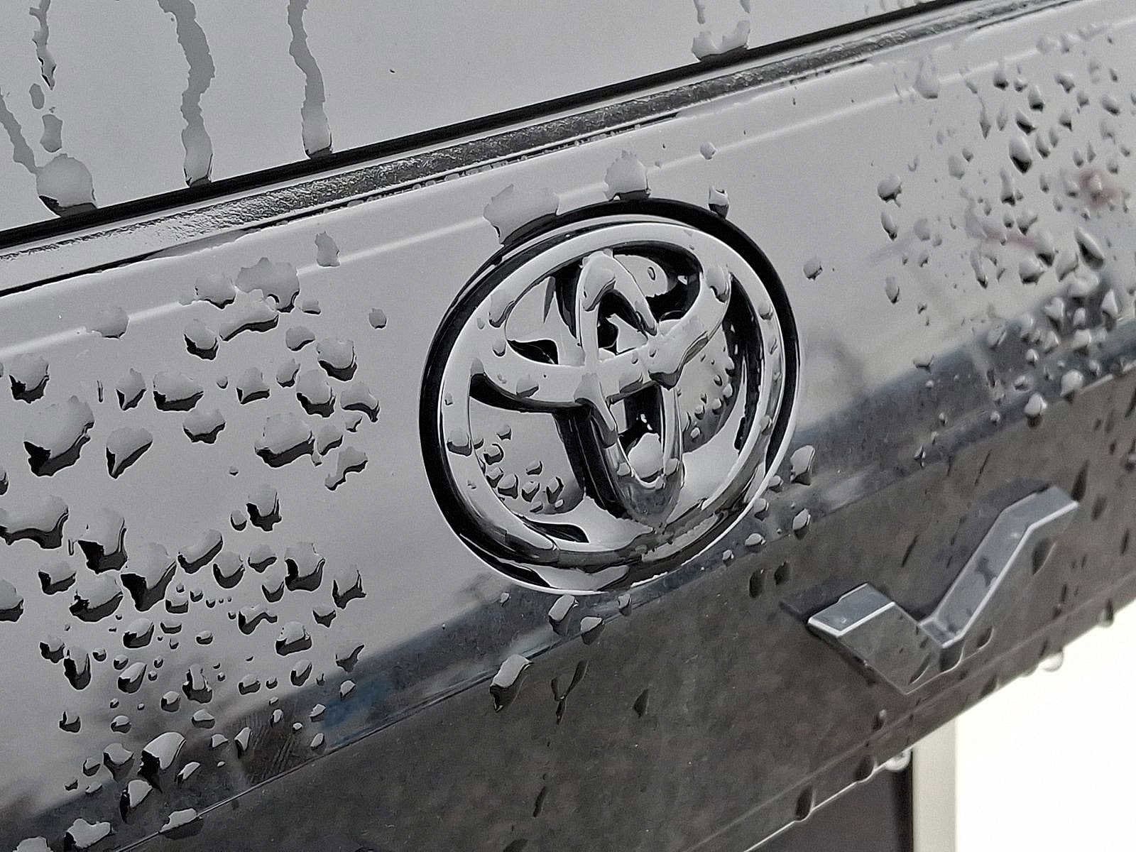 Thumbnail: 2026 Toyota RAV4 - 19