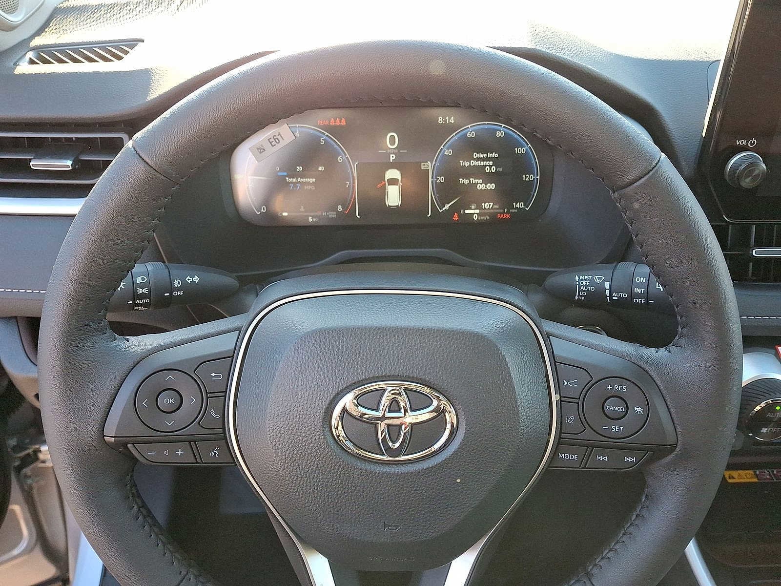 Thumbnail: 2025 Toyota RAV4 - 17