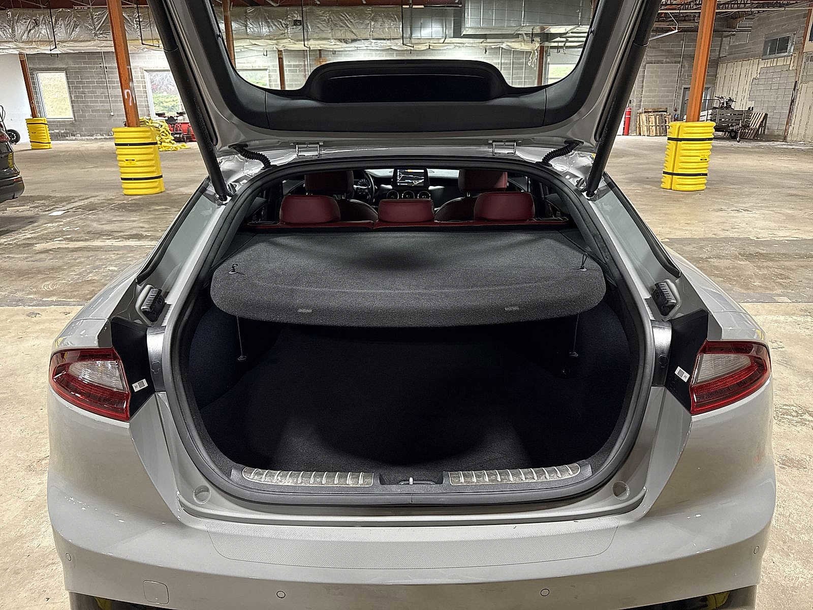 Thumbnail: 2018 Kia Stinger - 10