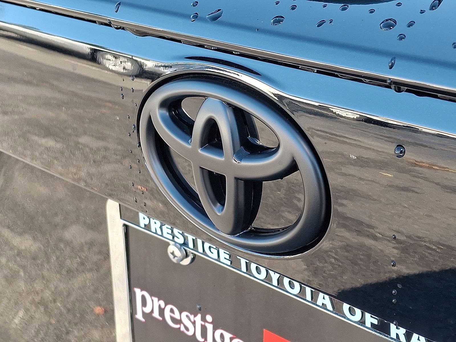 Thumbnail: 2025 Toyota RAV4 - 19