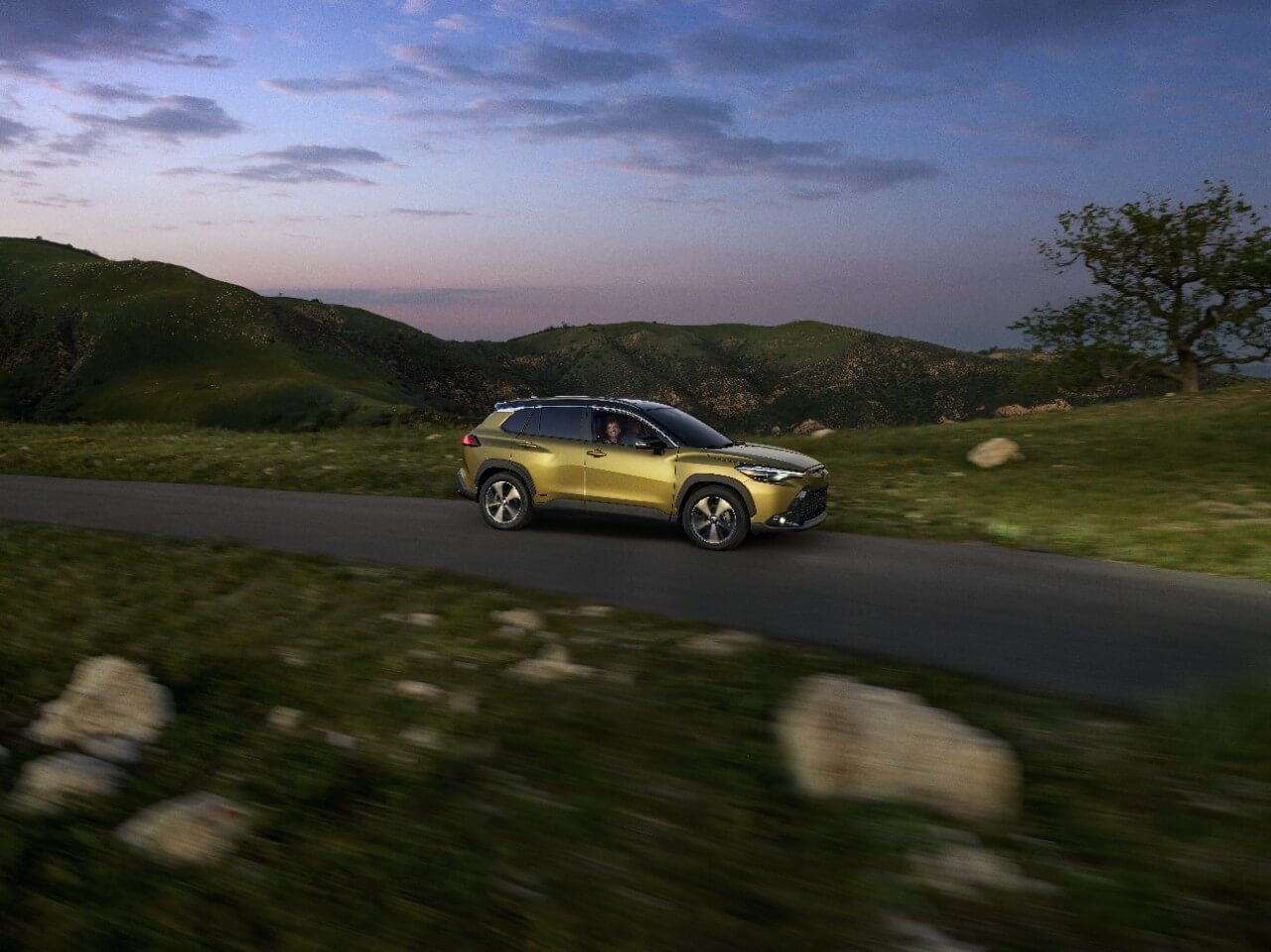 New Toyota Models