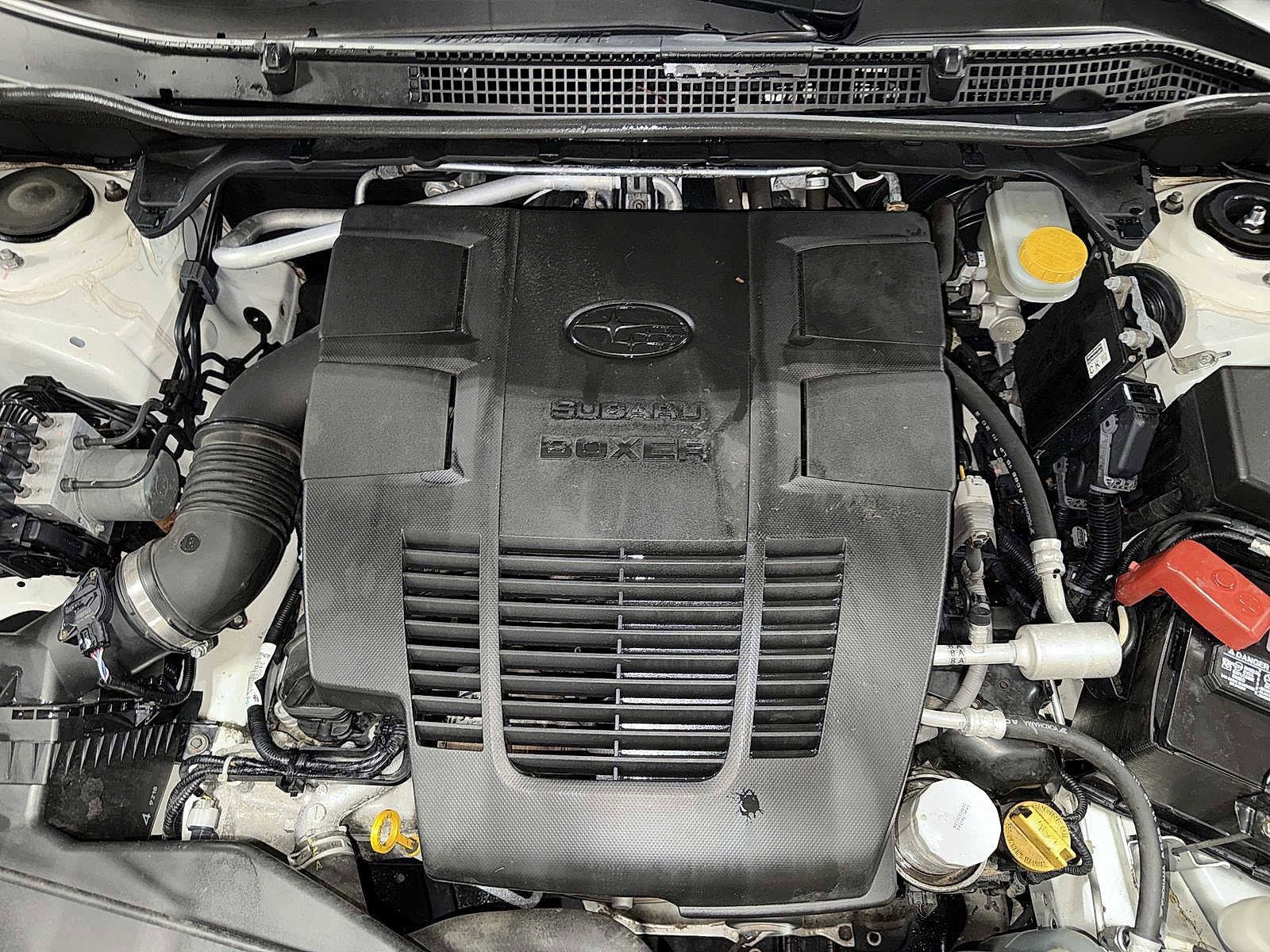 Thumbnail: 2019 Subaru Forester - 12