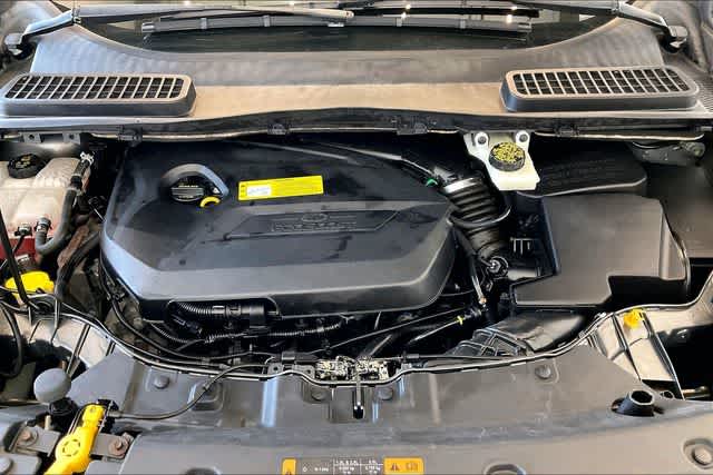 Thumbnail: 2014 Ford Escape - 10