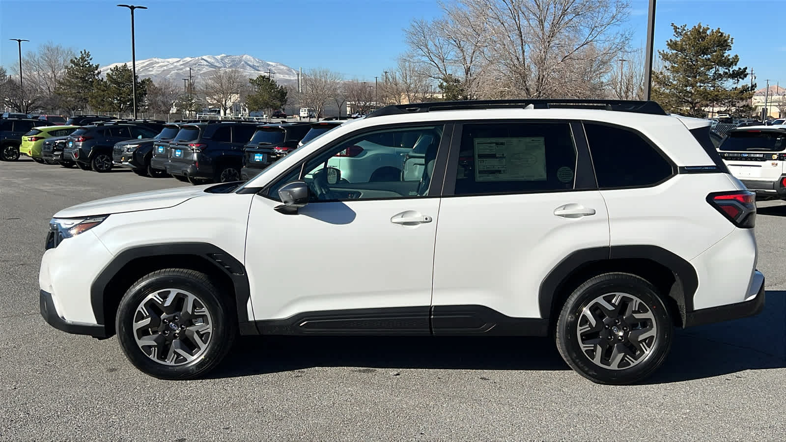 Thumbnail: 2026 Subaru Forester - 8