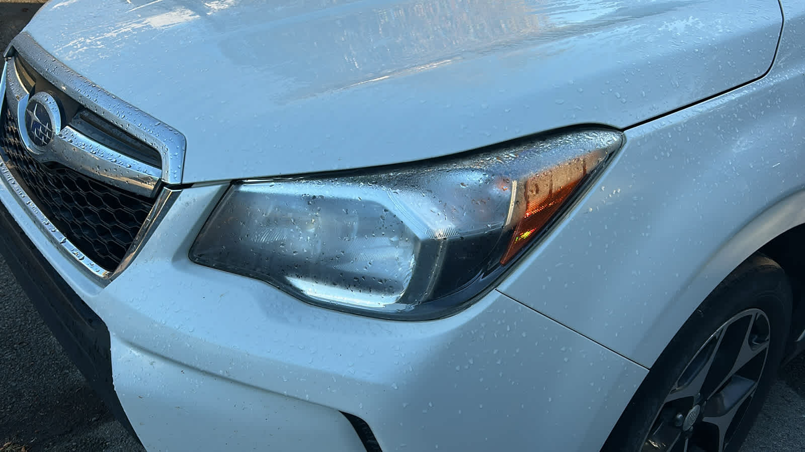 2016 Subaru Forester 2.0XT Premium photo 2