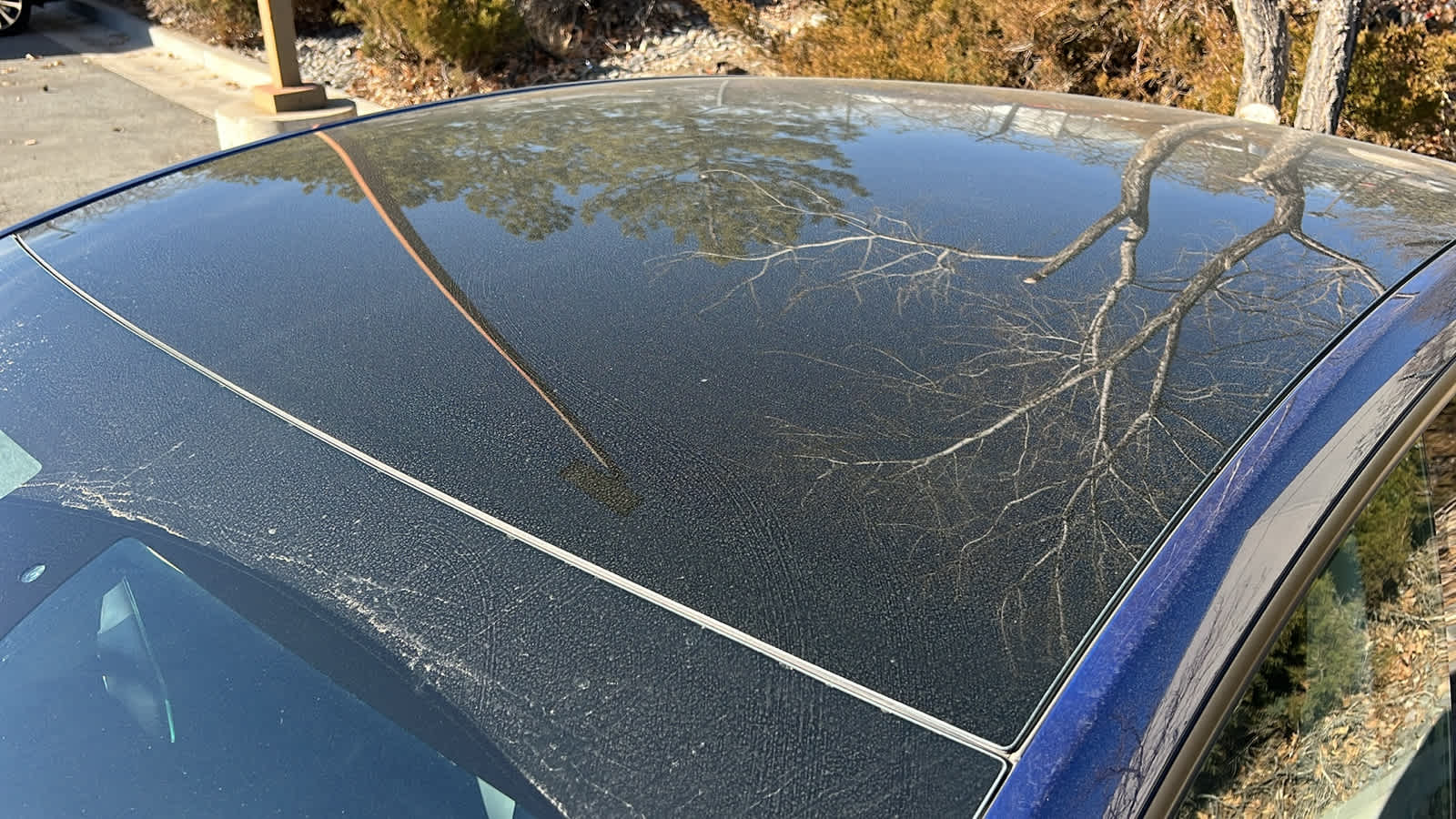 Thumbnail: 2021 Tesla Model Y - 21