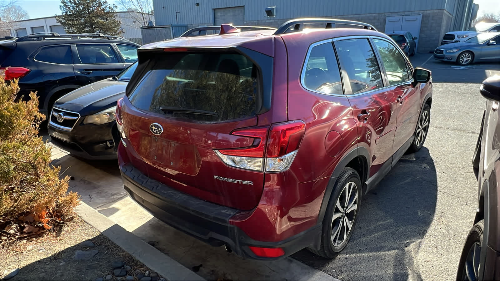 Thumbnail: 2023 Subaru Forester - 11