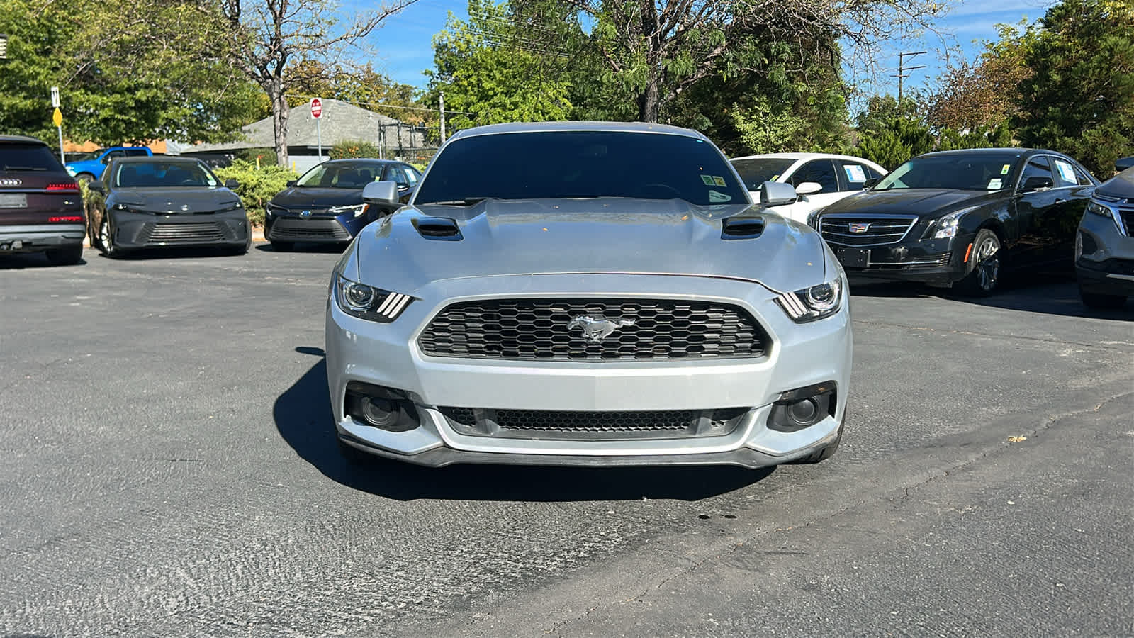 1FA6P8CF1F5434532