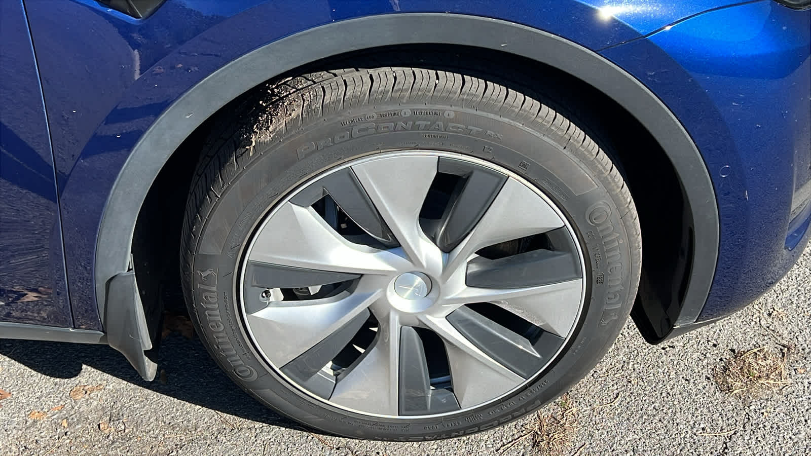 Thumbnail: 2021 Tesla Model Y - 5