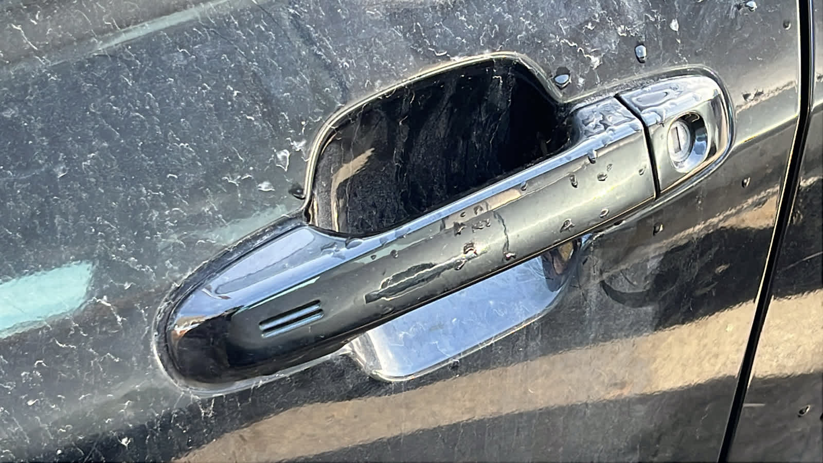 Thumbnail: 2024 Subaru Forester - 6