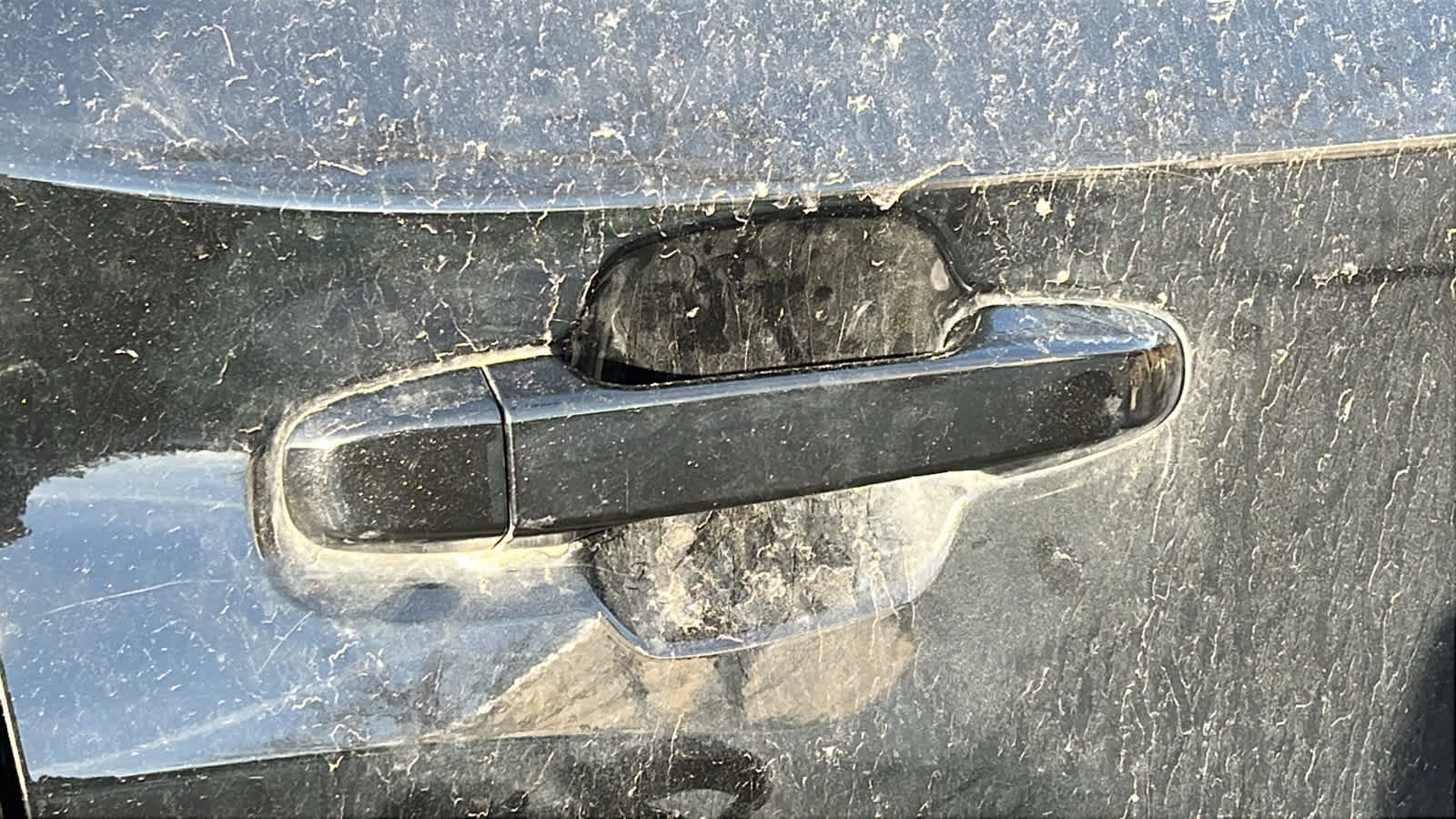 Thumbnail: 2024 Subaru Forester - 17