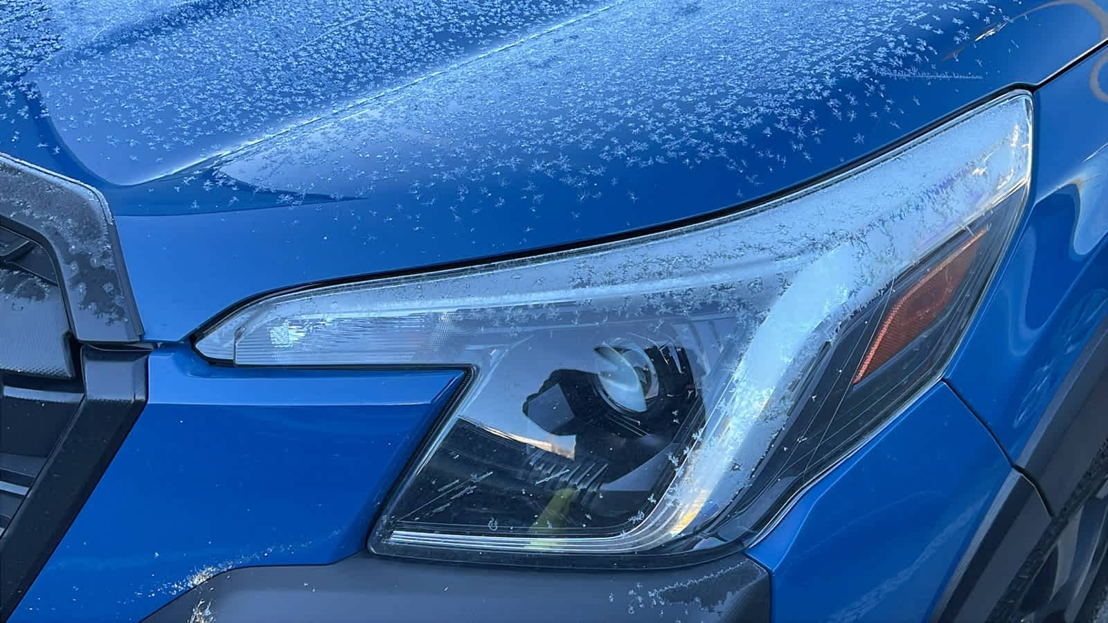 Thumbnail: 2023 Subaru Forester - 3