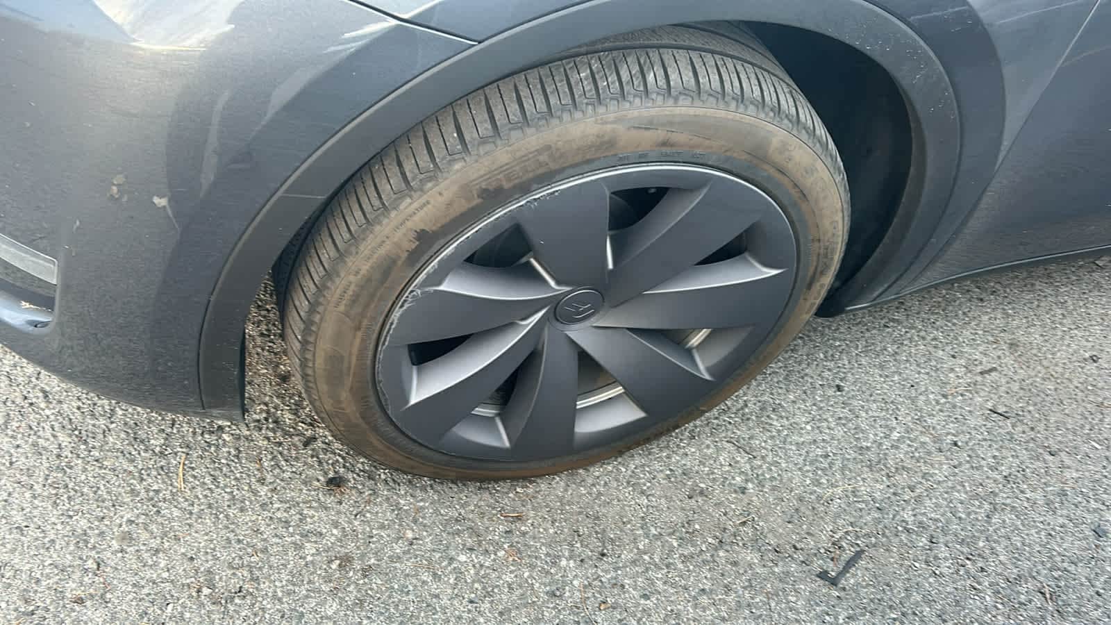 Thumbnail: 2023 Tesla Model Y - 4