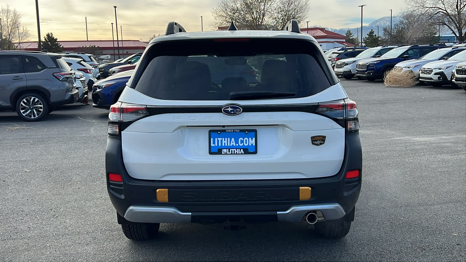 Thumbnail: 2026 Subaru Forester - 6